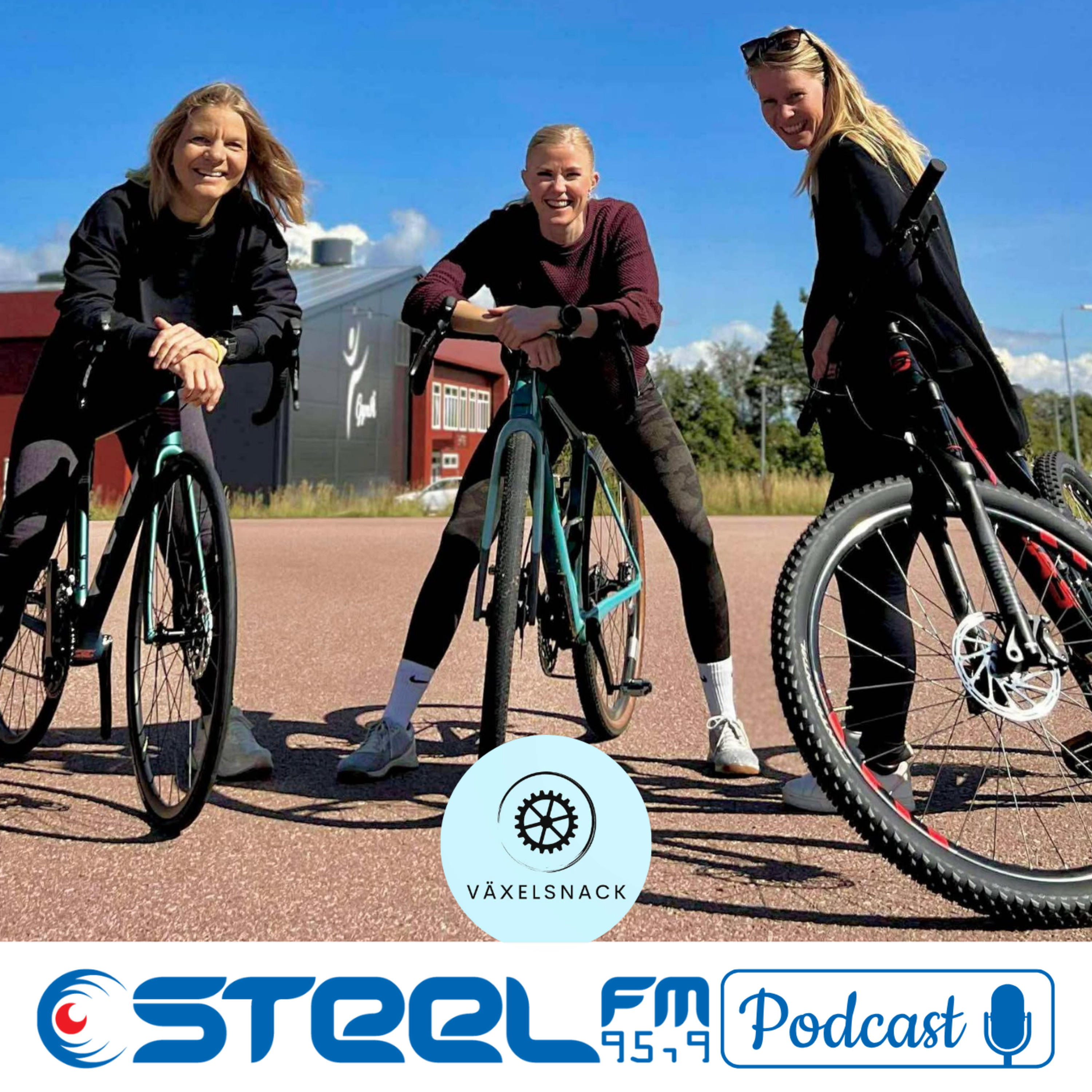 Växelsnack - Avsnitt 24 - Anna Nordenholm episode artwork