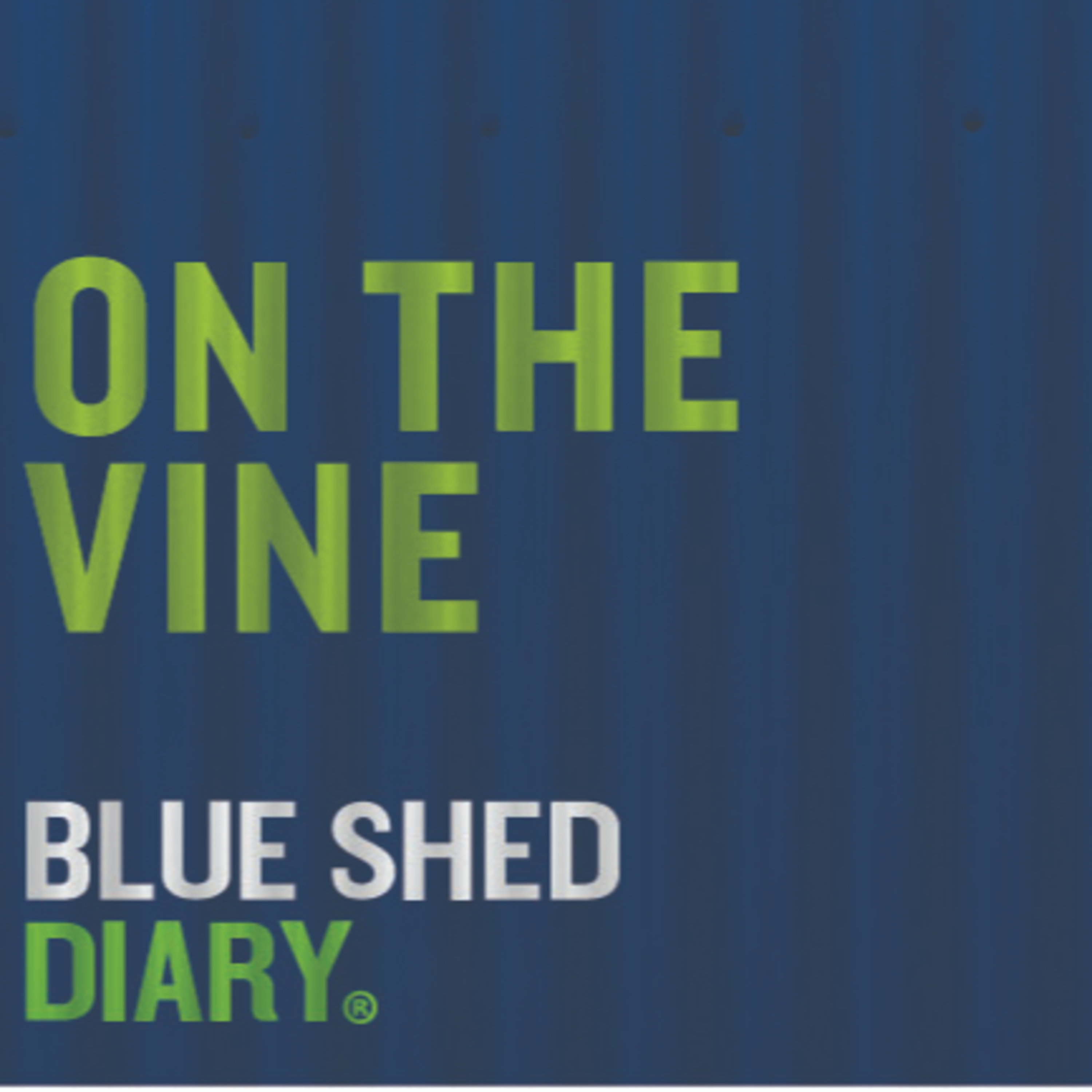 Mothballing Vineyards with Jon Peet episode artwork