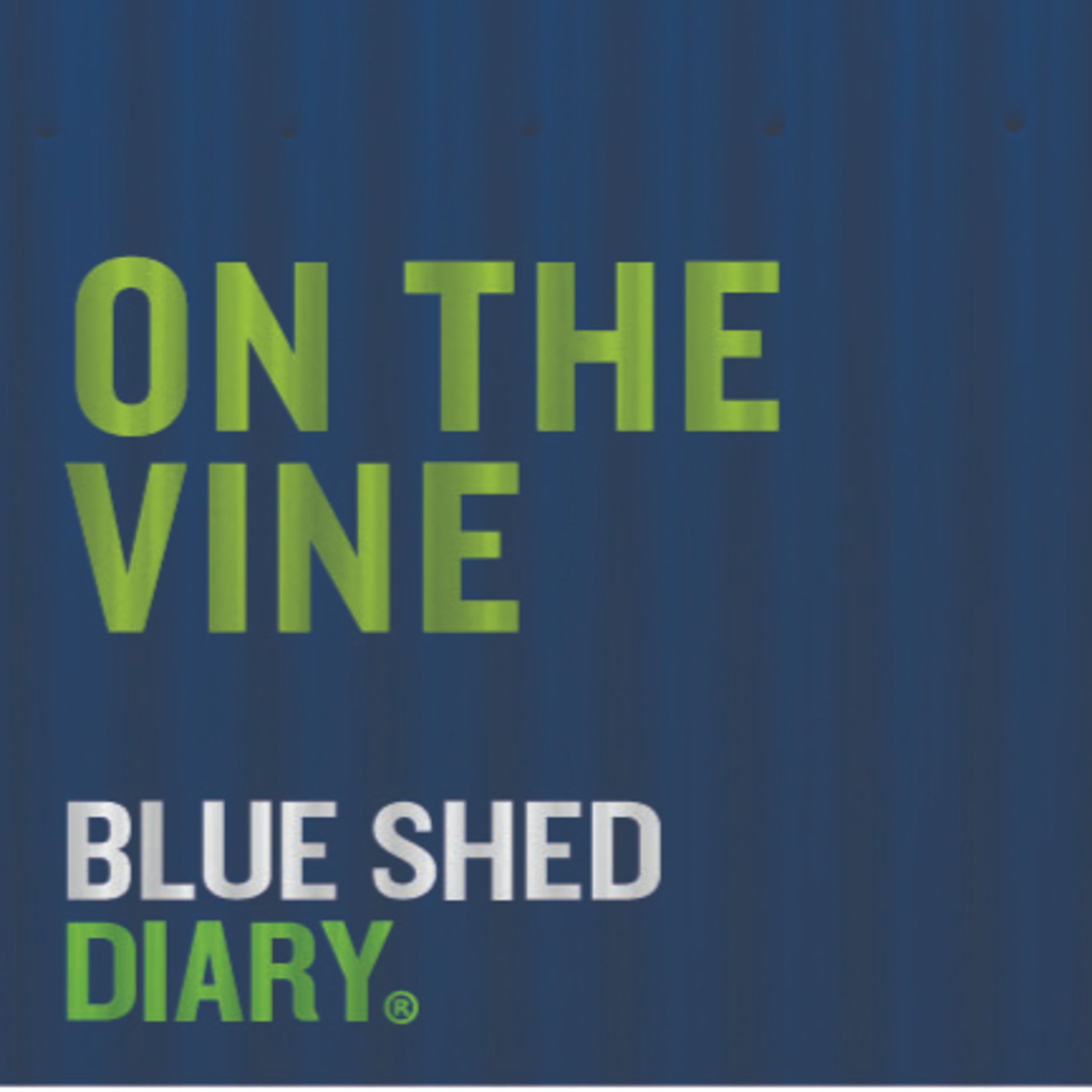 The Zen of Winemaking with Young Winemakers of NZ episode artwork