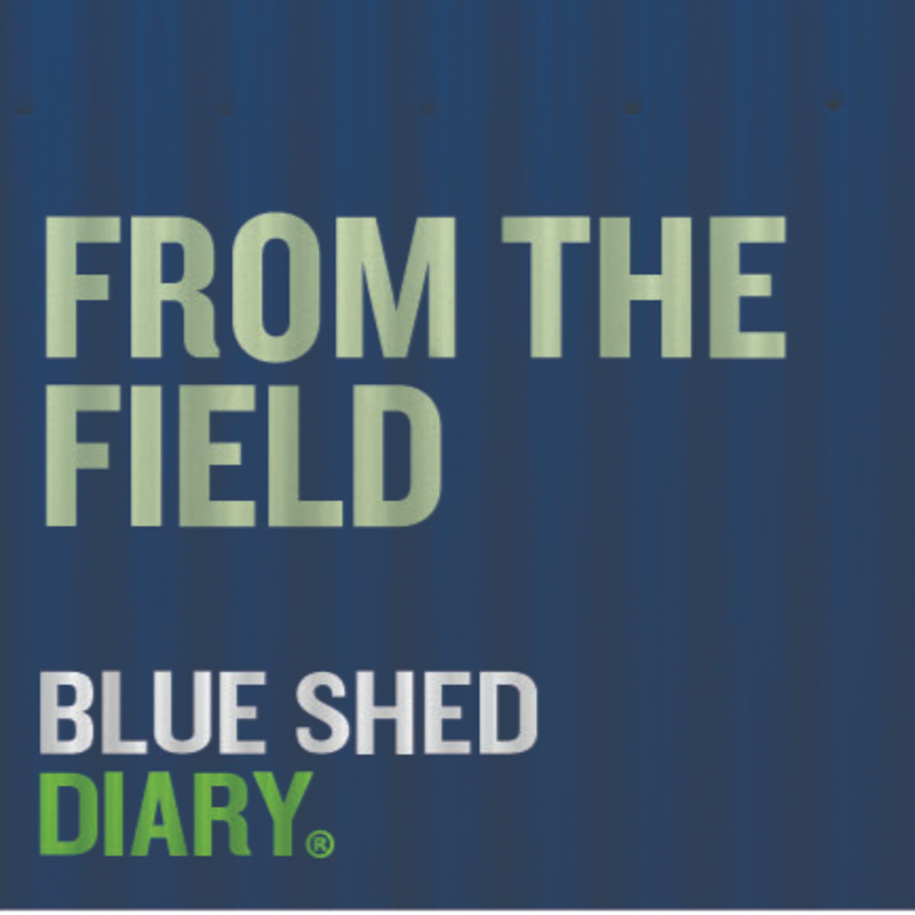 From the Field: Farming in an El Niño with Hugh Ritchie episode artwork