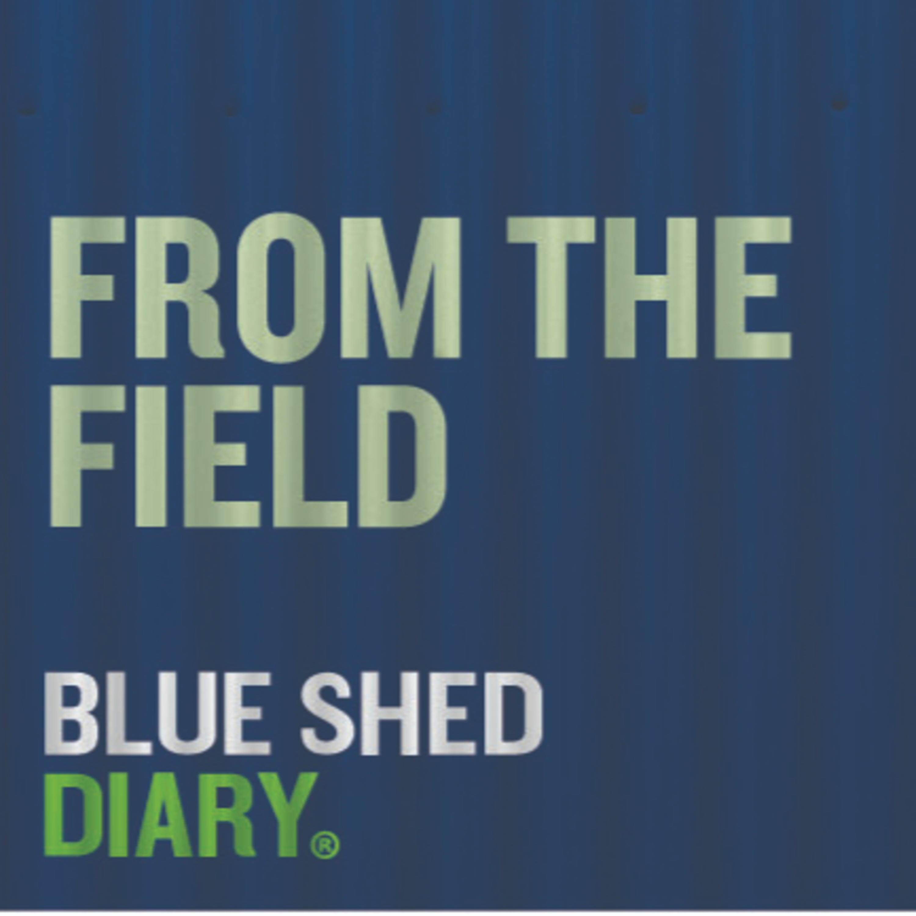 From the Field: Farm safety from the ground up with Roger Barton episode artwork