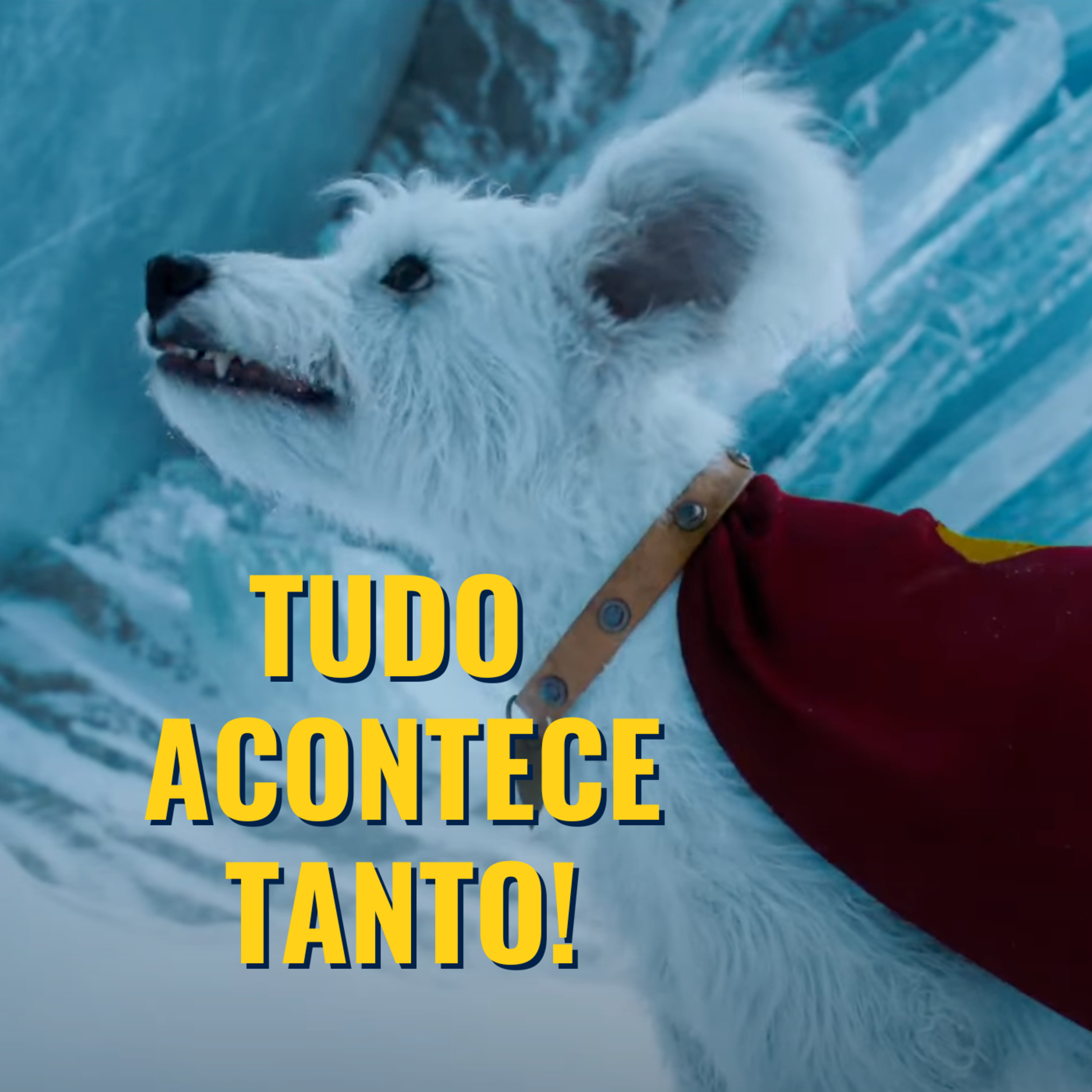 Criticópolis