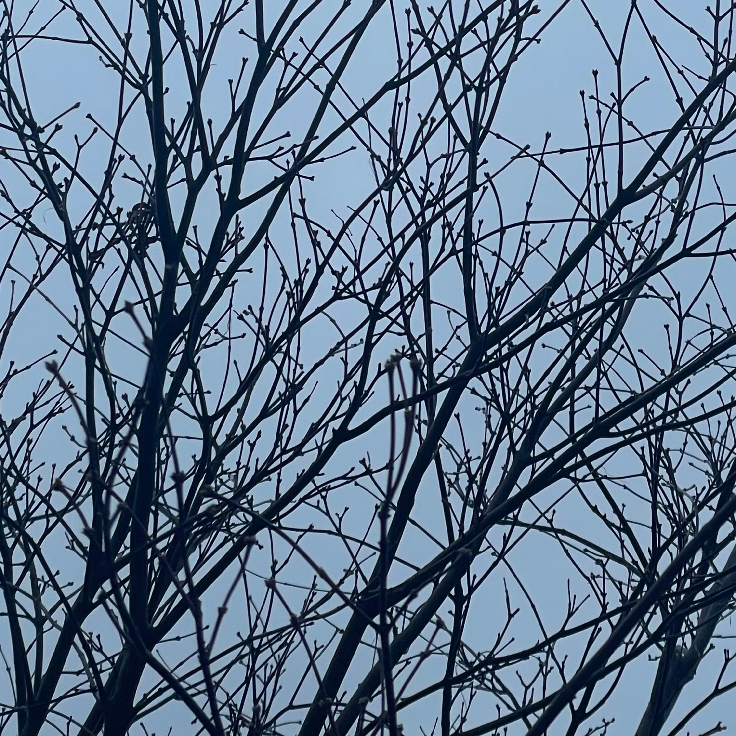 Step Outside - Stand Still