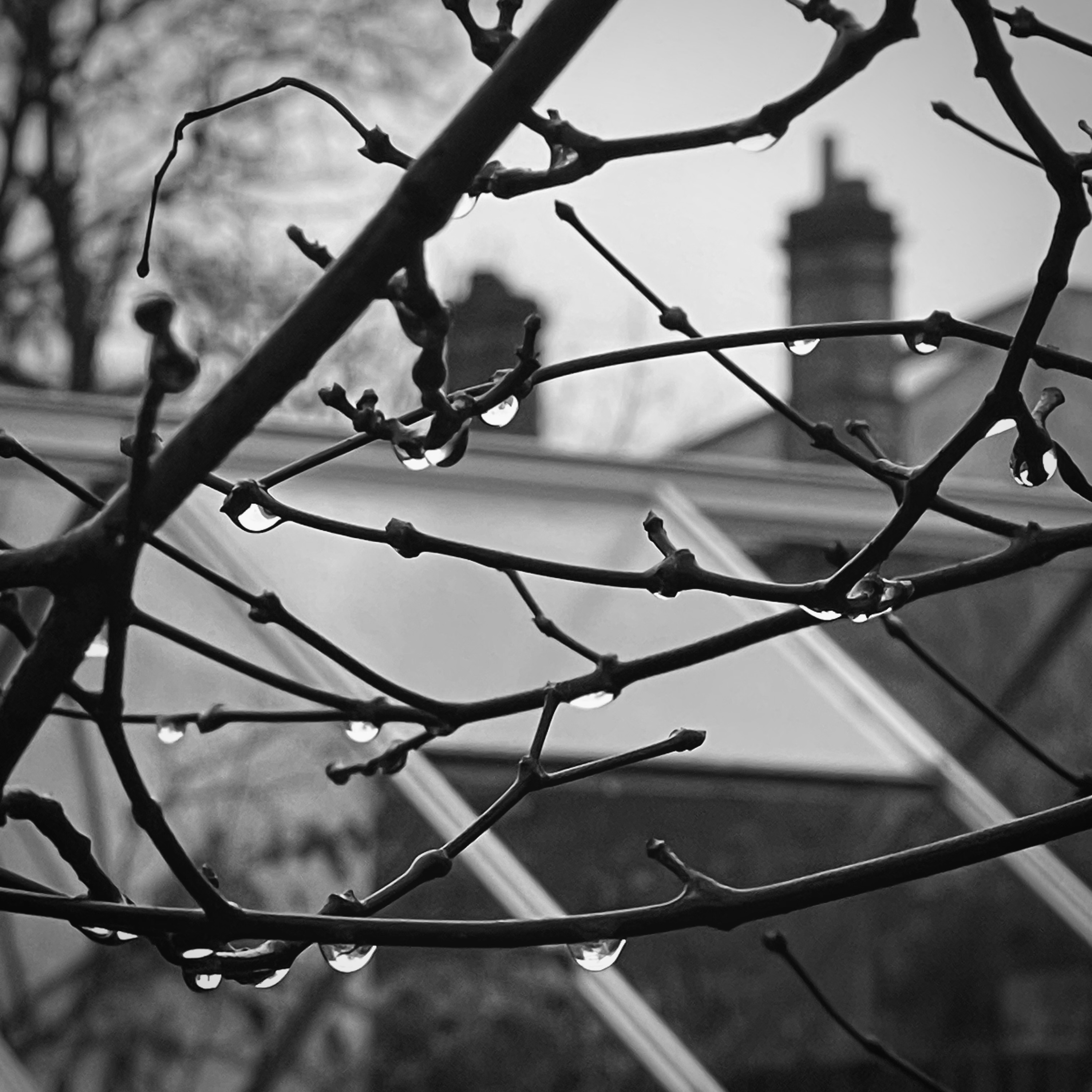 Step Outside - Stand Still