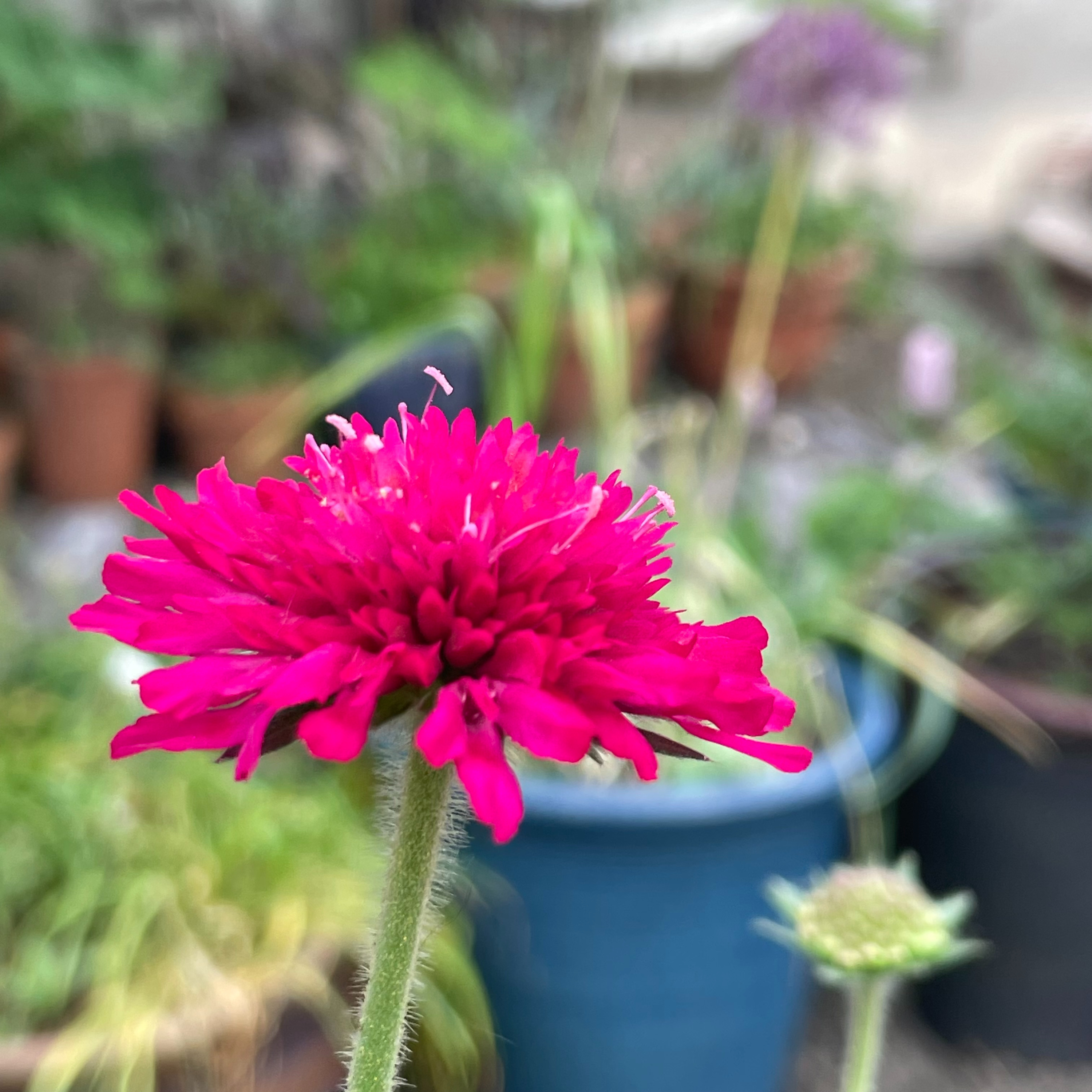 15 May 2025