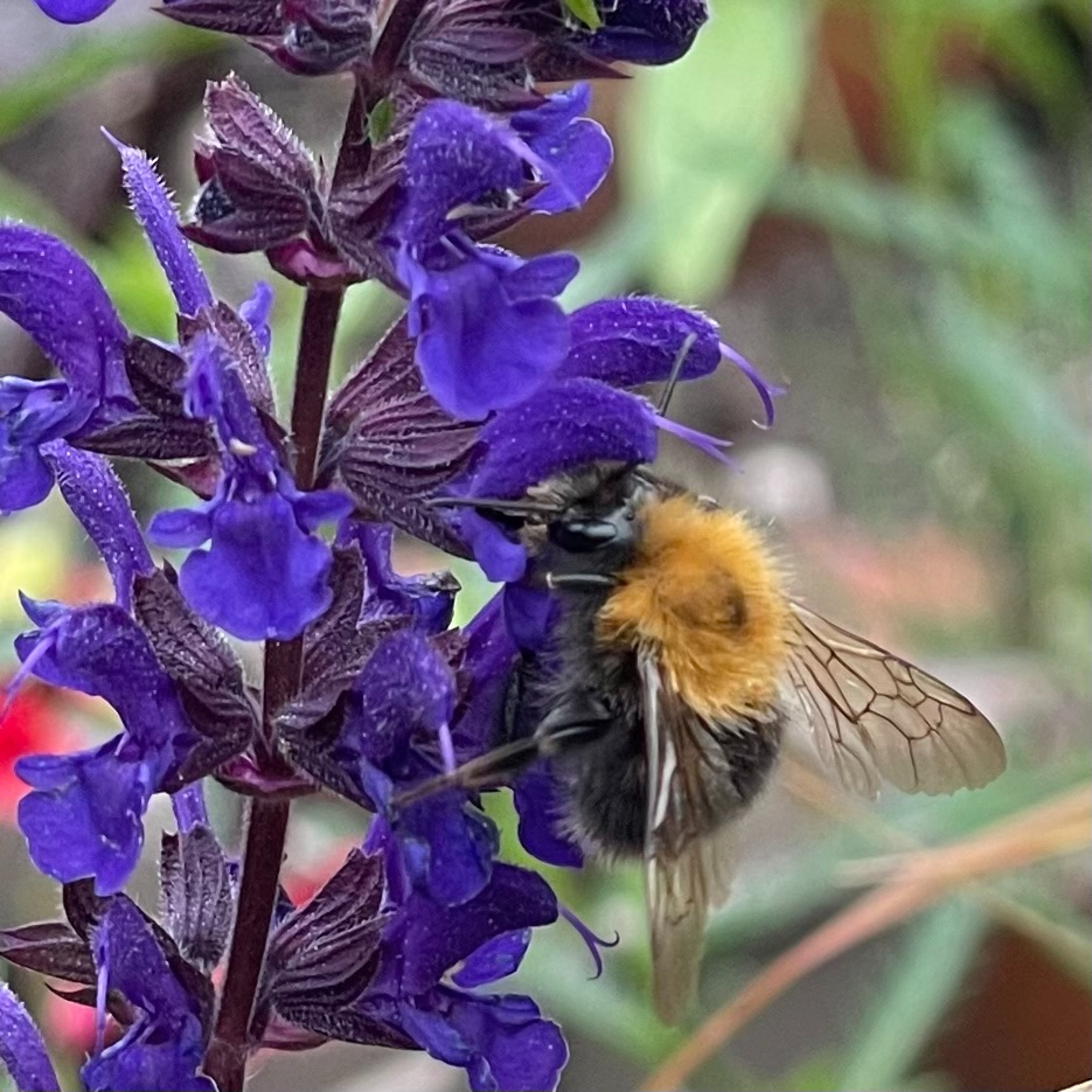 27 May 2025