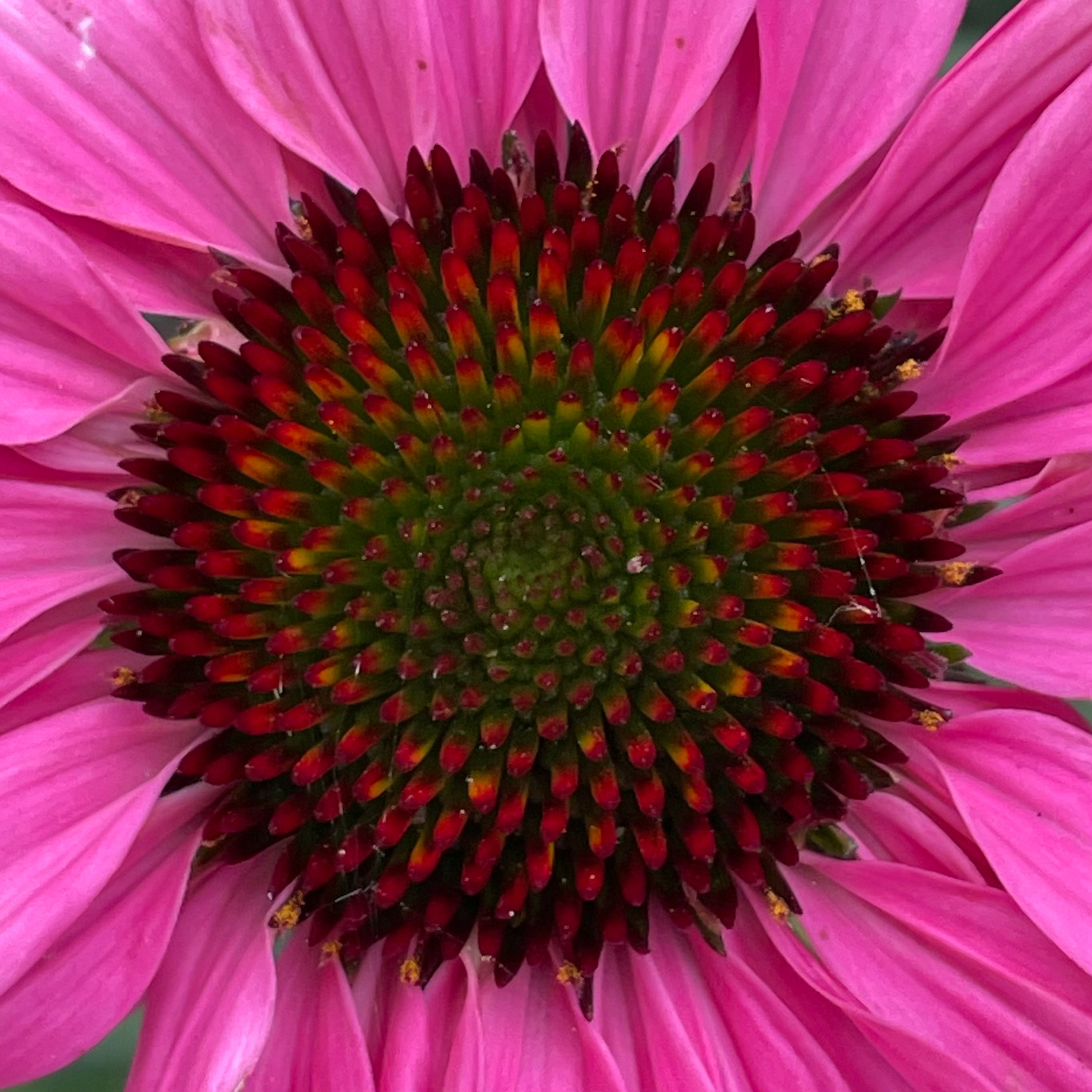 14 July 2025
