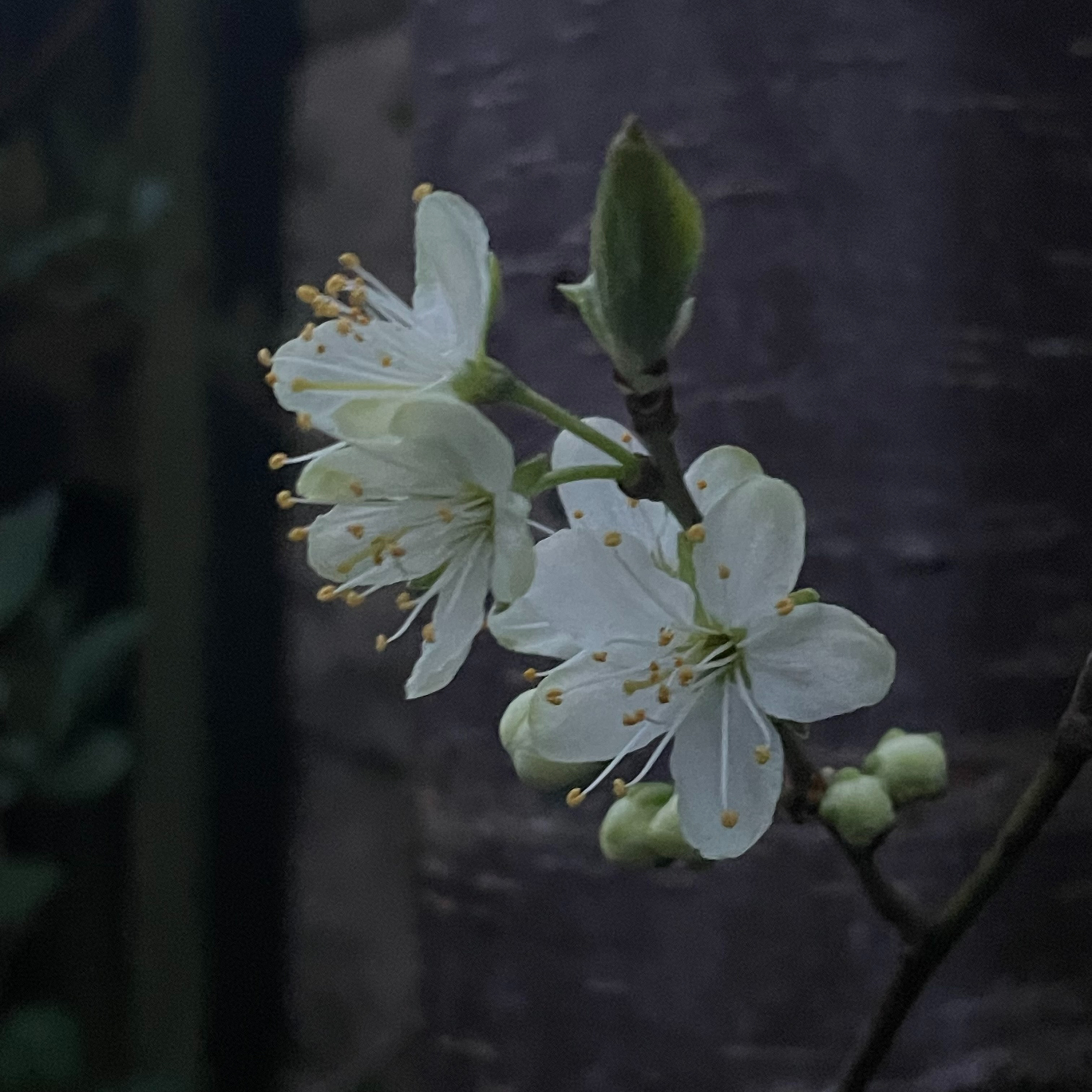 3 April 2026