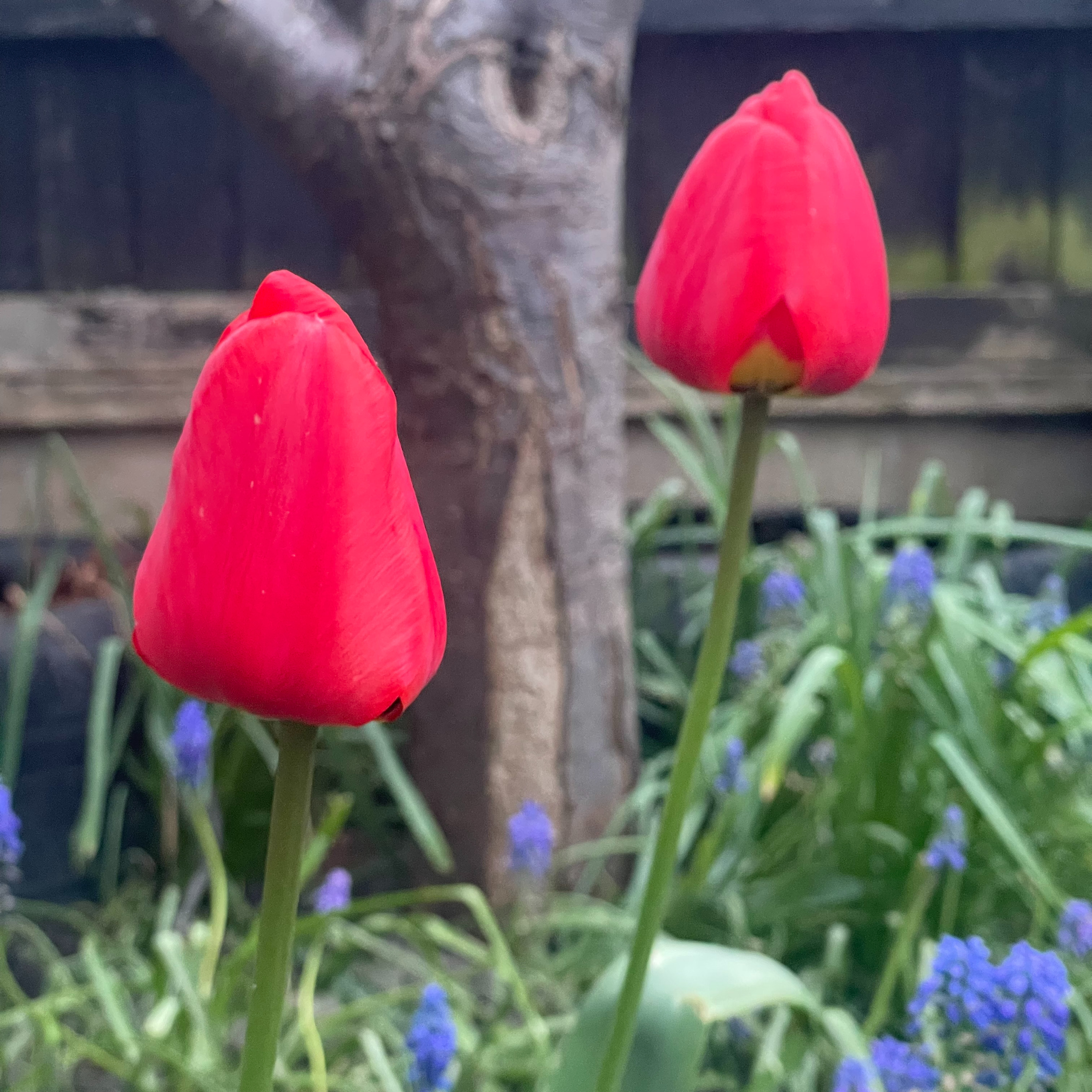 9 April 2026