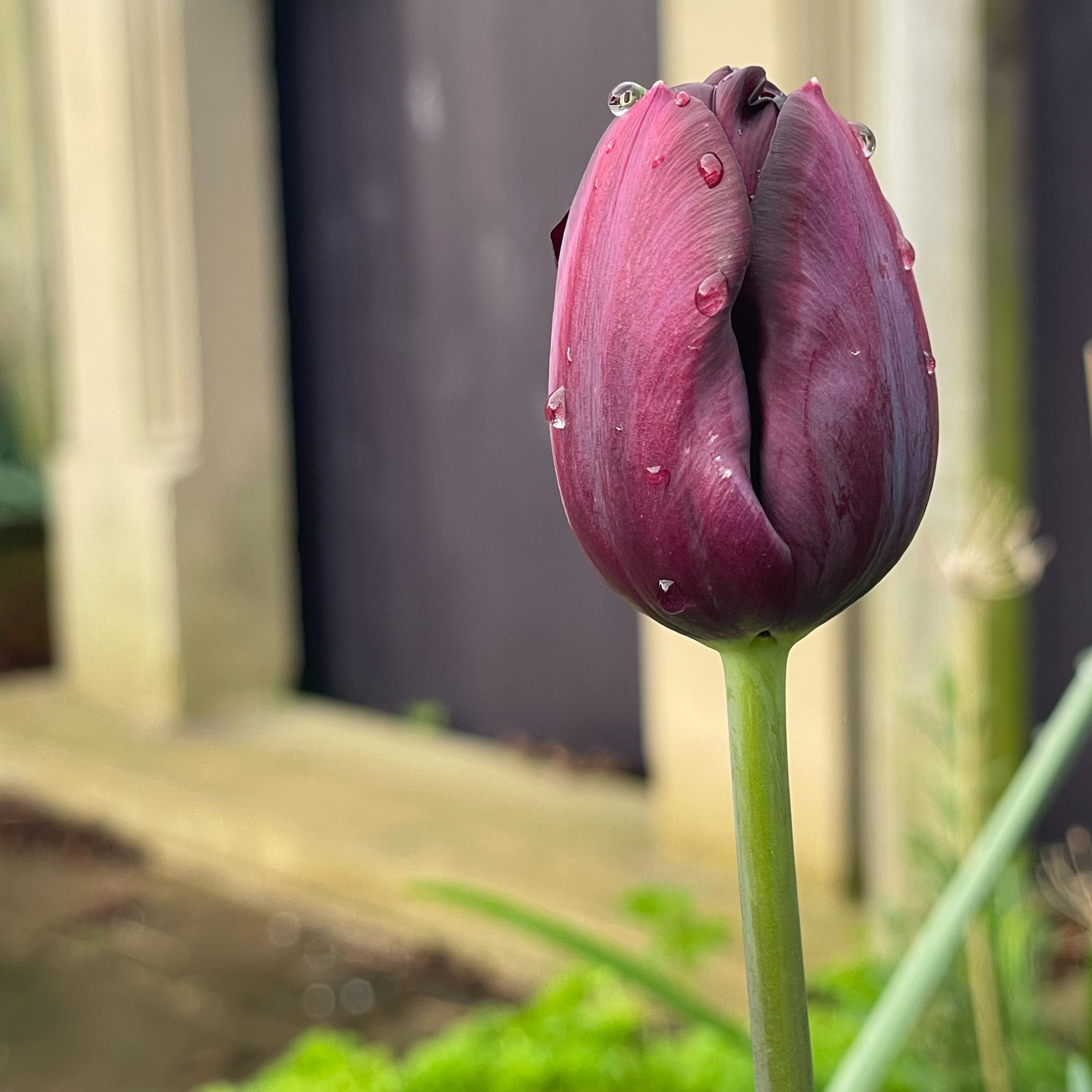 15 April 2026