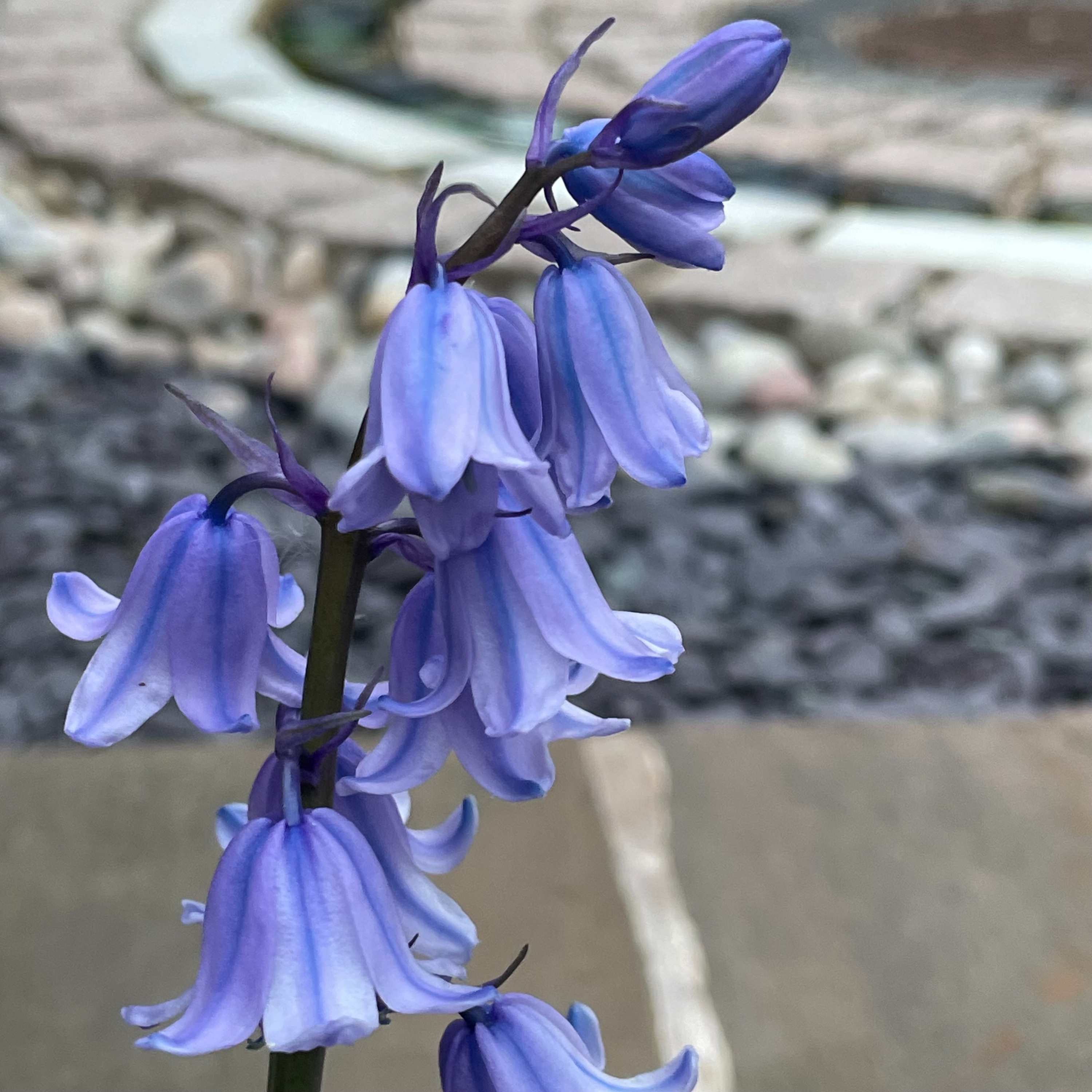 24 April 2026