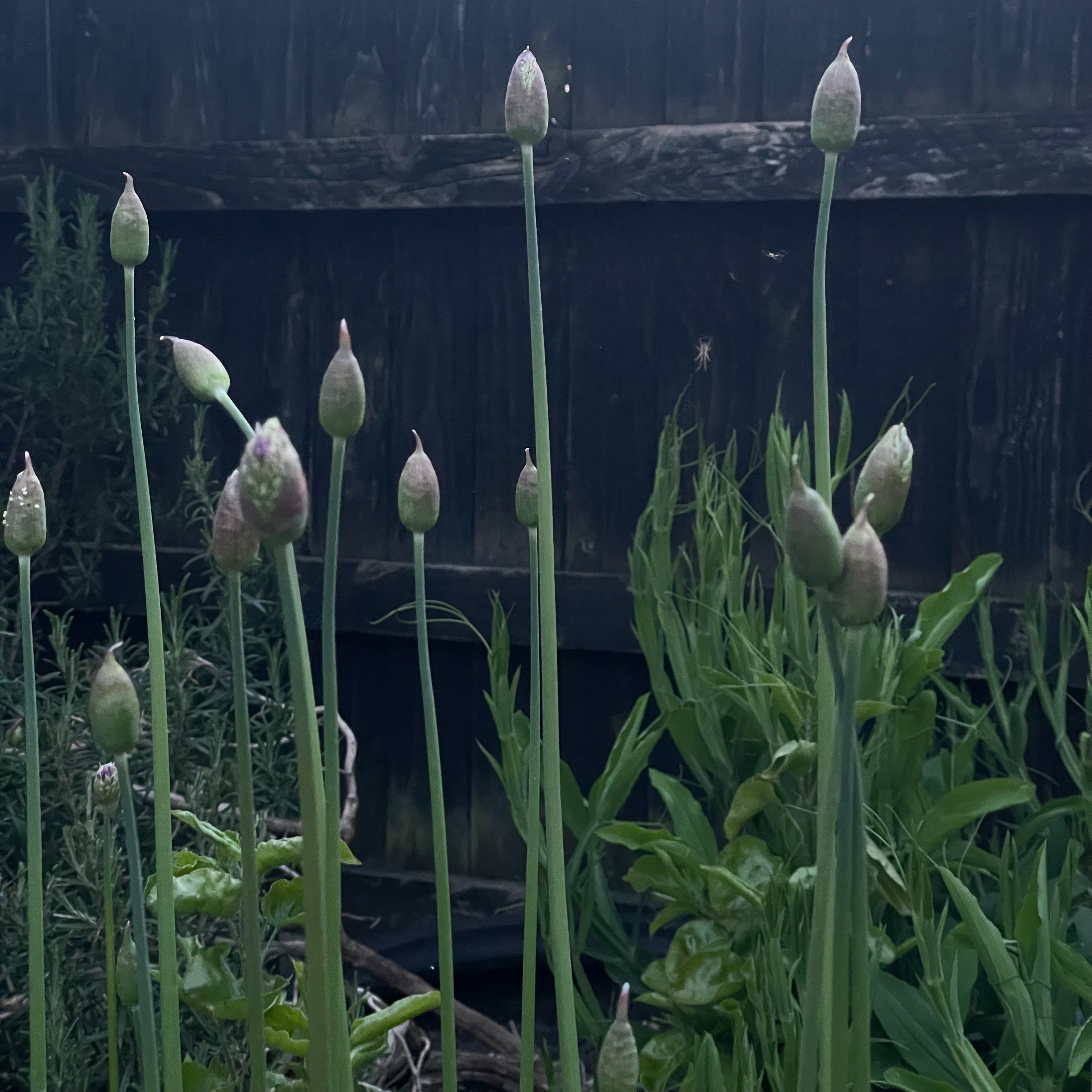27 April 2026