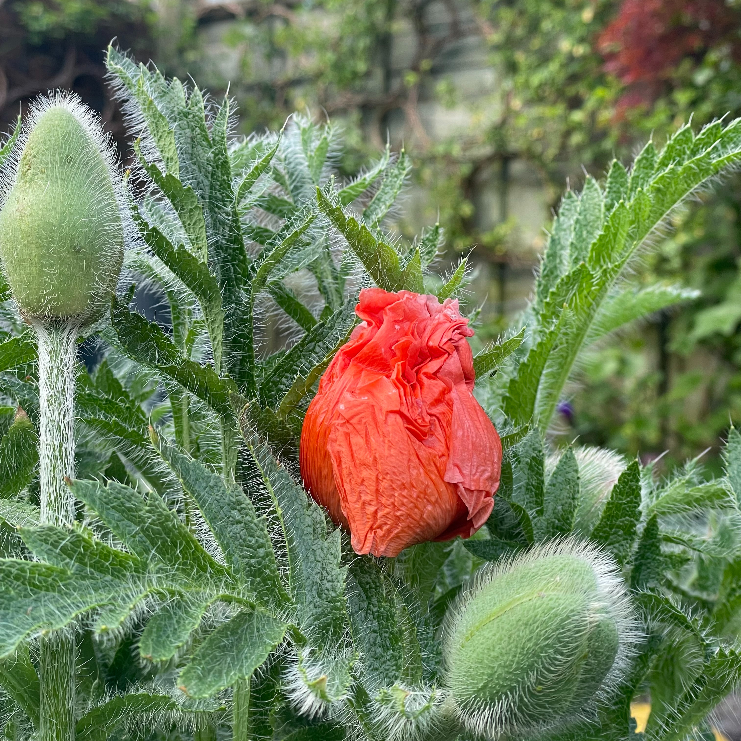 7 May 2026