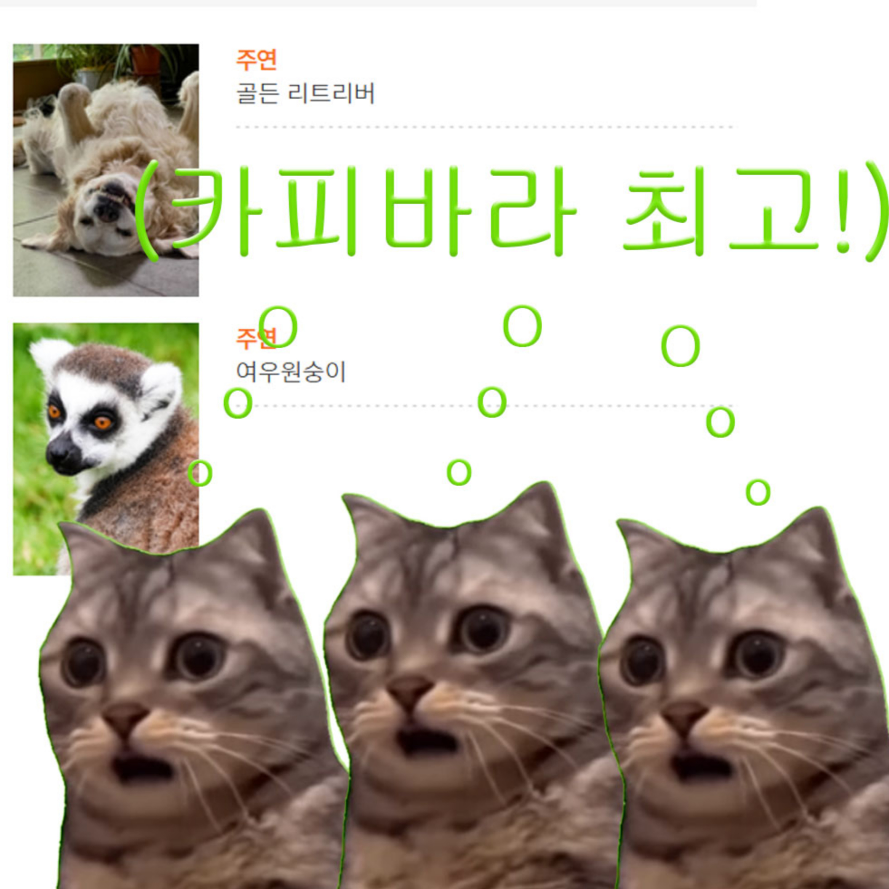 오두막 10일차 | 삶과 죽음 사이의 고양이 🐈‍⬛ : 영화 '플로우' 리뷰 episode artwork