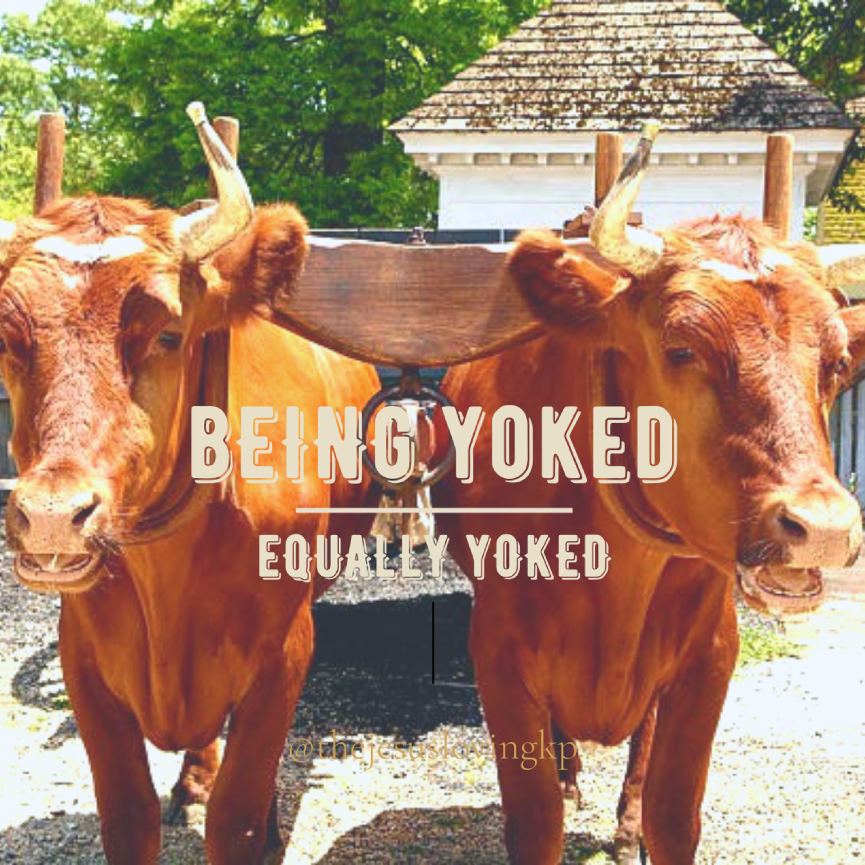 Ep. 1 | Being Equally Yoked episode artwork