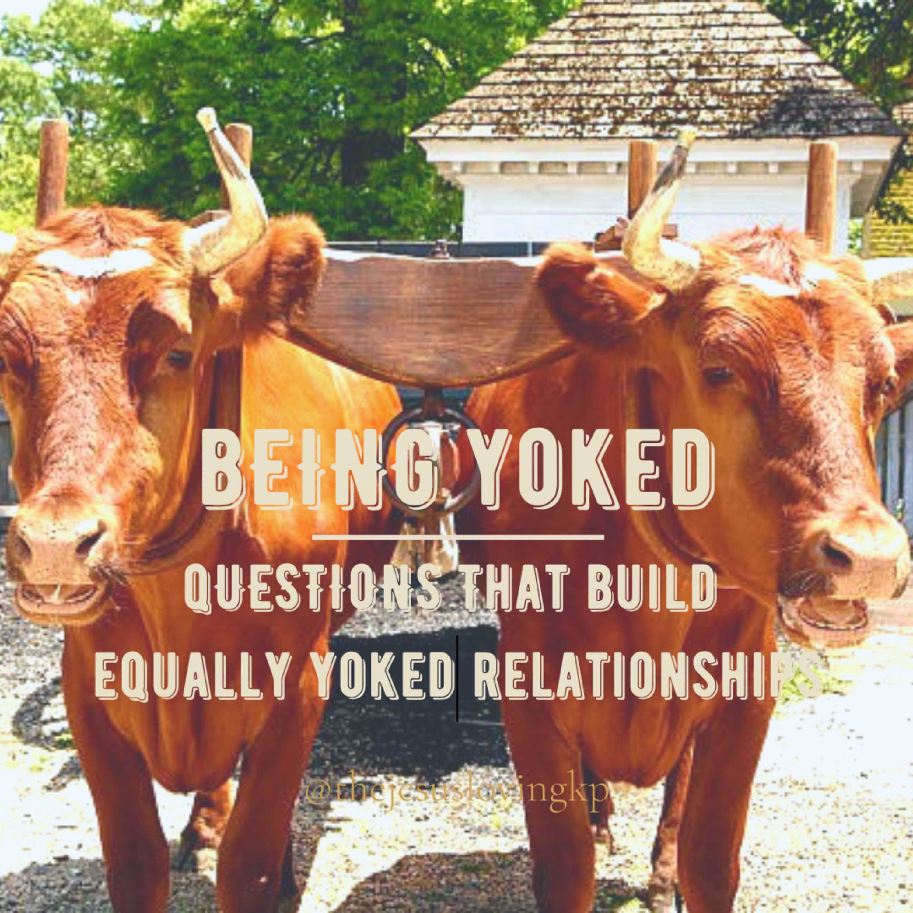 Ep. 3 | Questions That Build Equally Yoked Relationship episode artwork