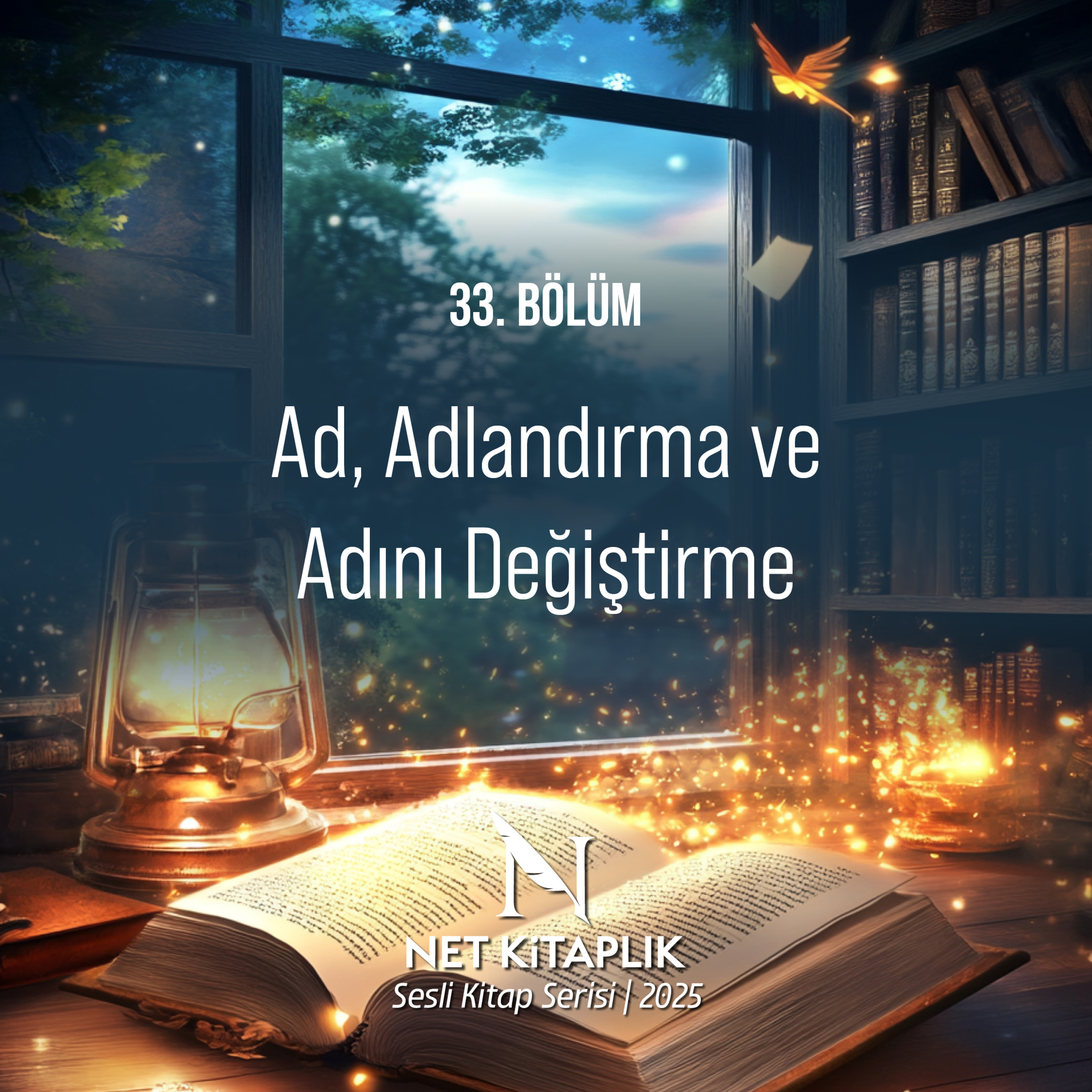 Yurdun Gölgeside | Hasan Bacanlı