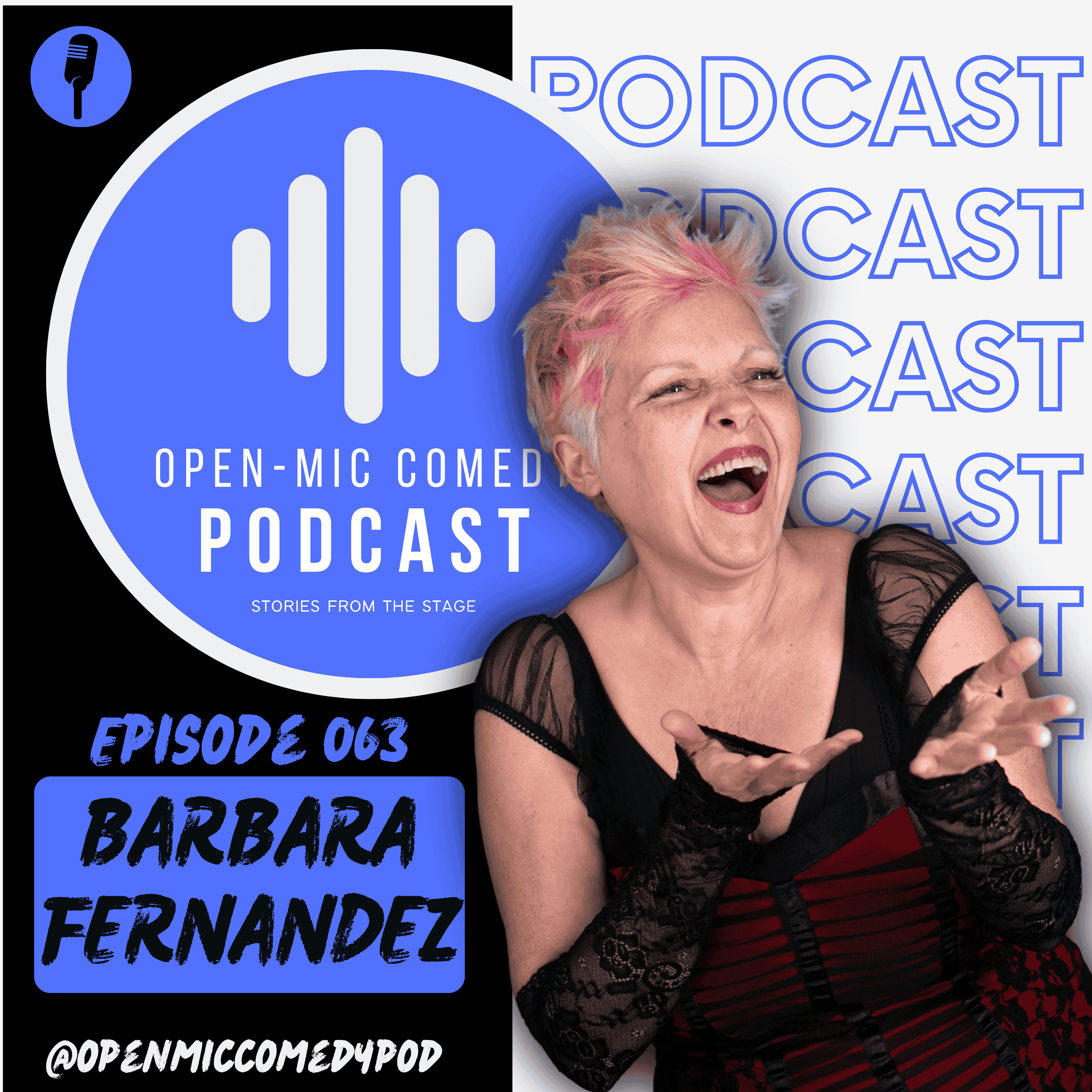 063 - Finding your Voice and Community with Barbara Fernandez