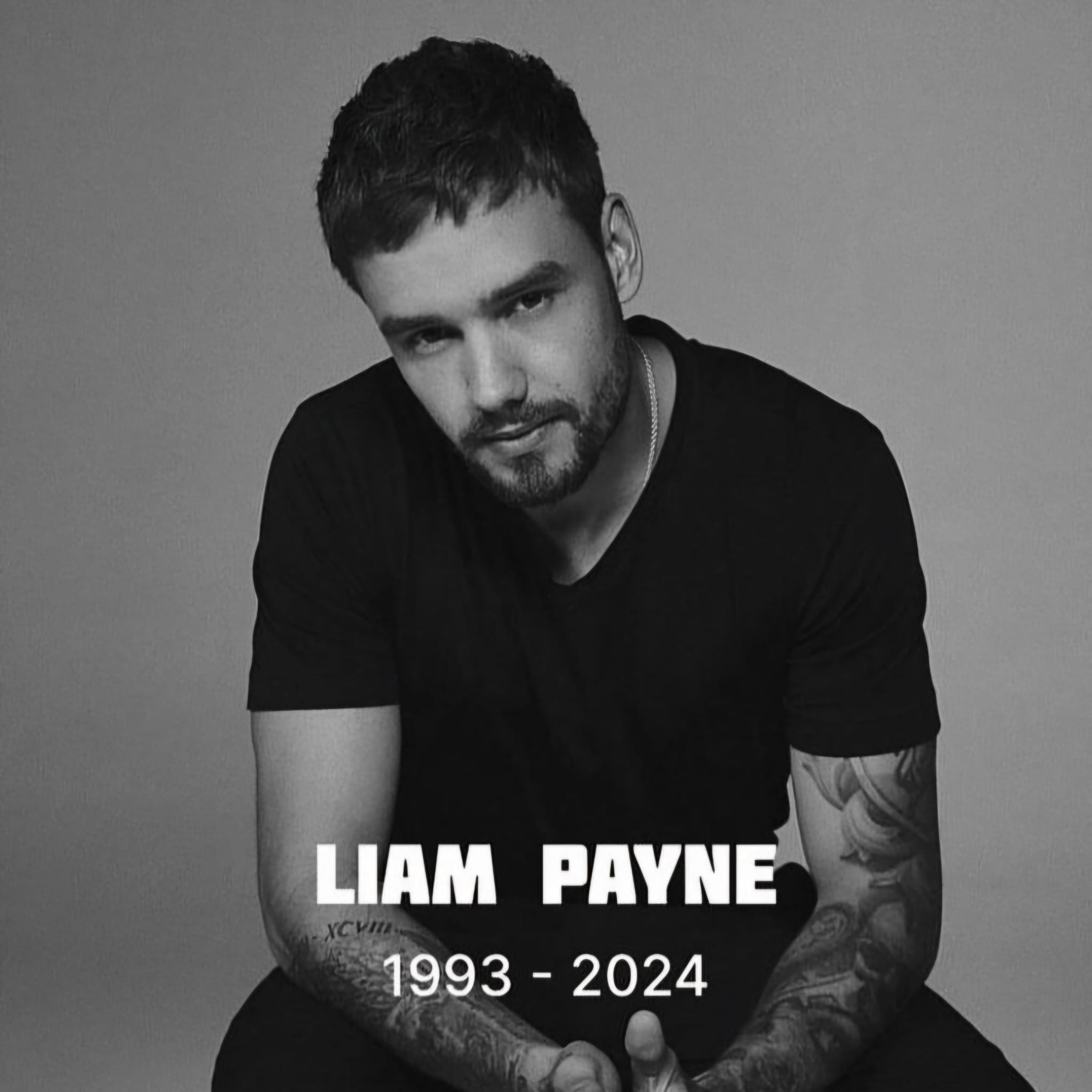 In Ricordo di Liam Payne episode artwork