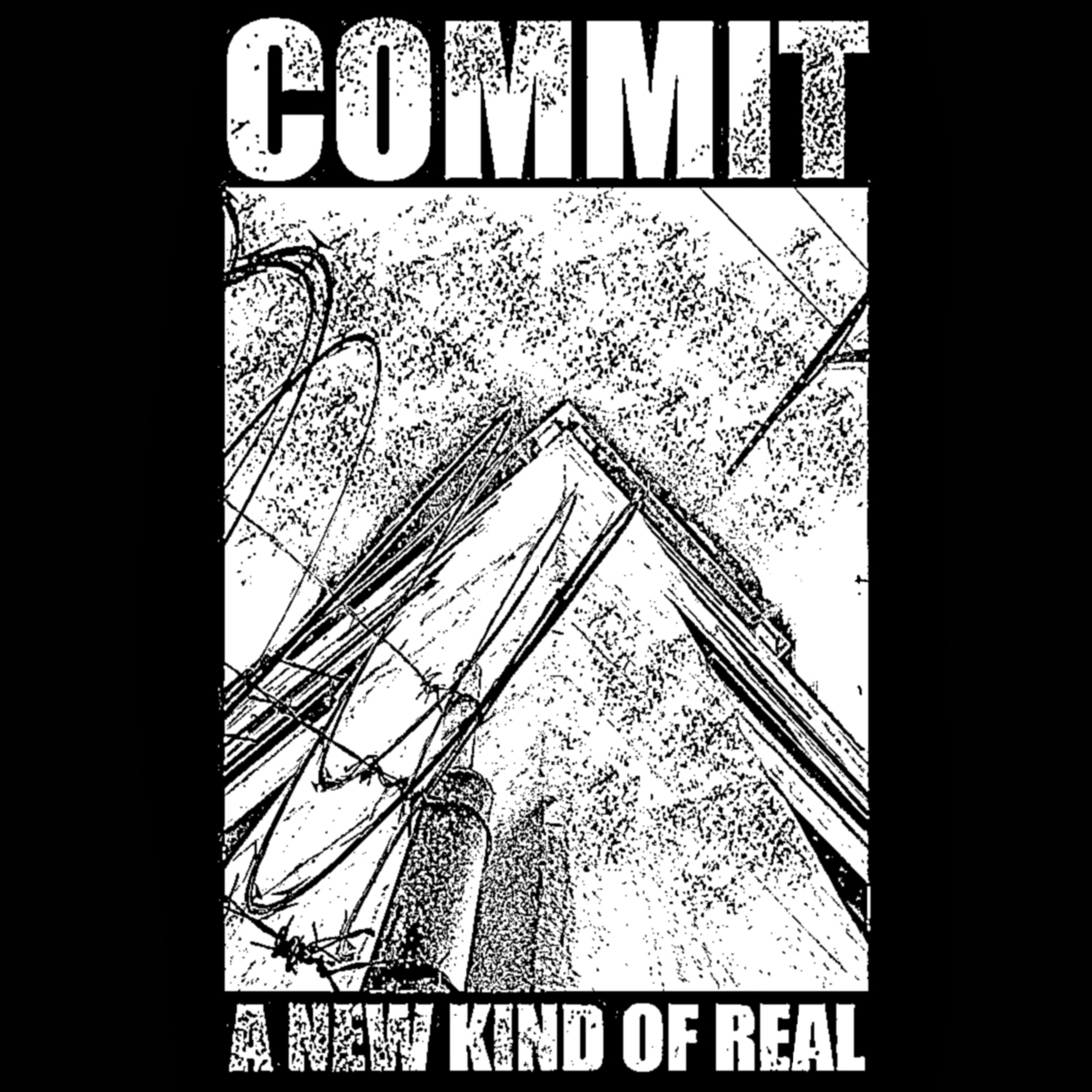 Commit episode 4.2 A new kind of real.  episode artwork