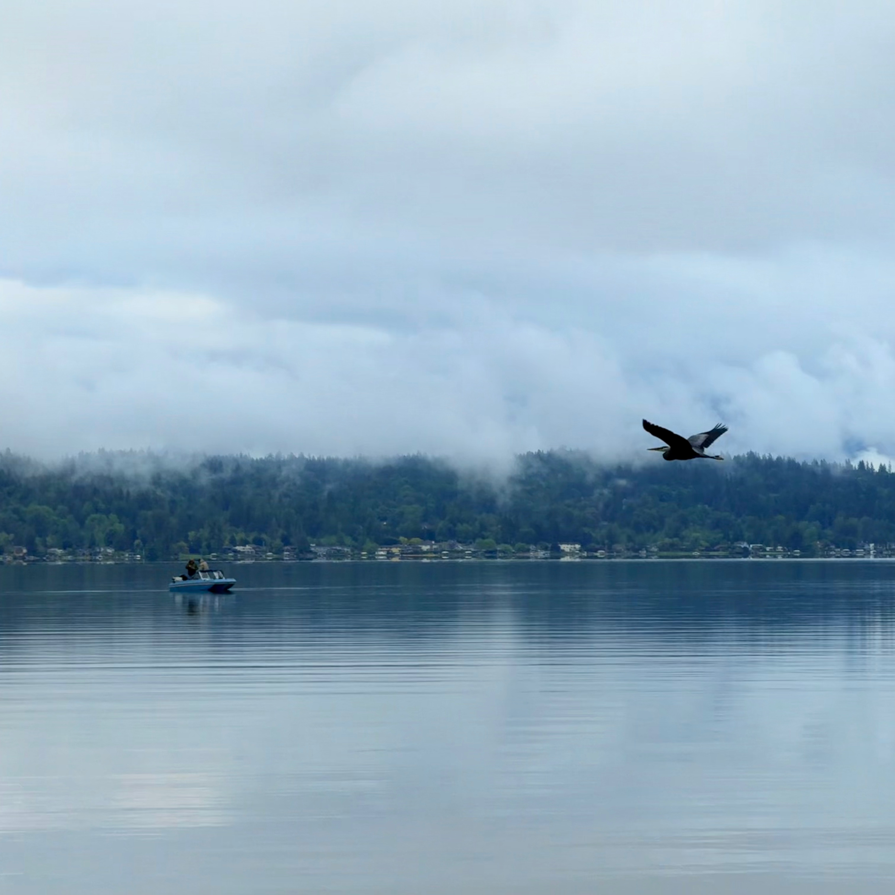 Lake Sammamish 横渡之泳者北北的故事 episode artwork