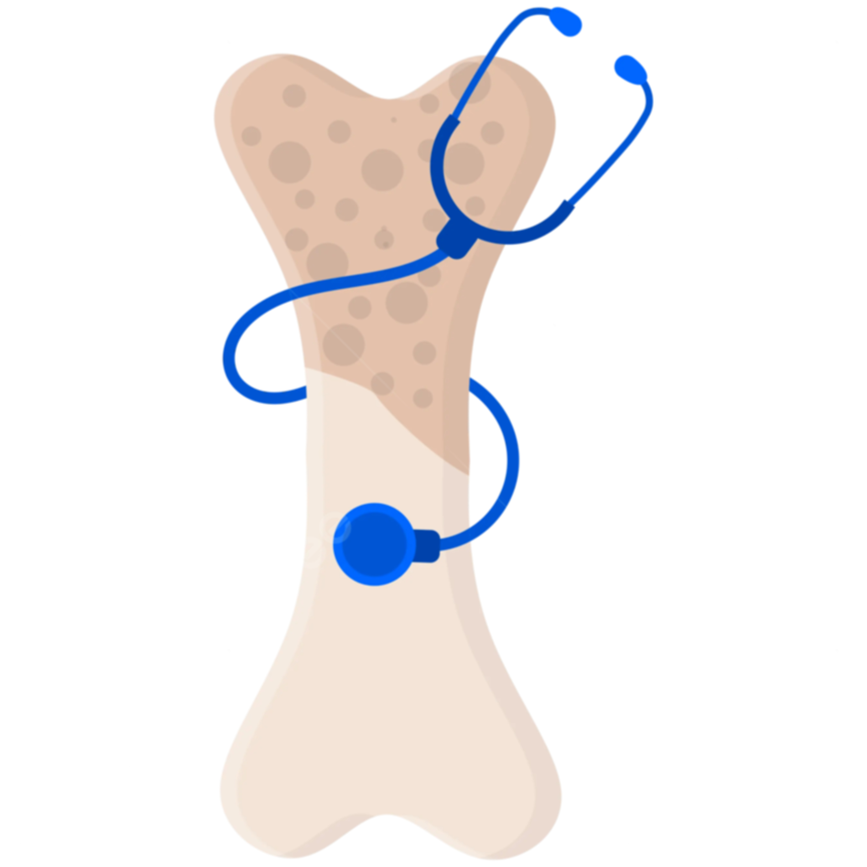 Women's Health - Part 4: Musculoskeletal System Assessment and Osteoporosis