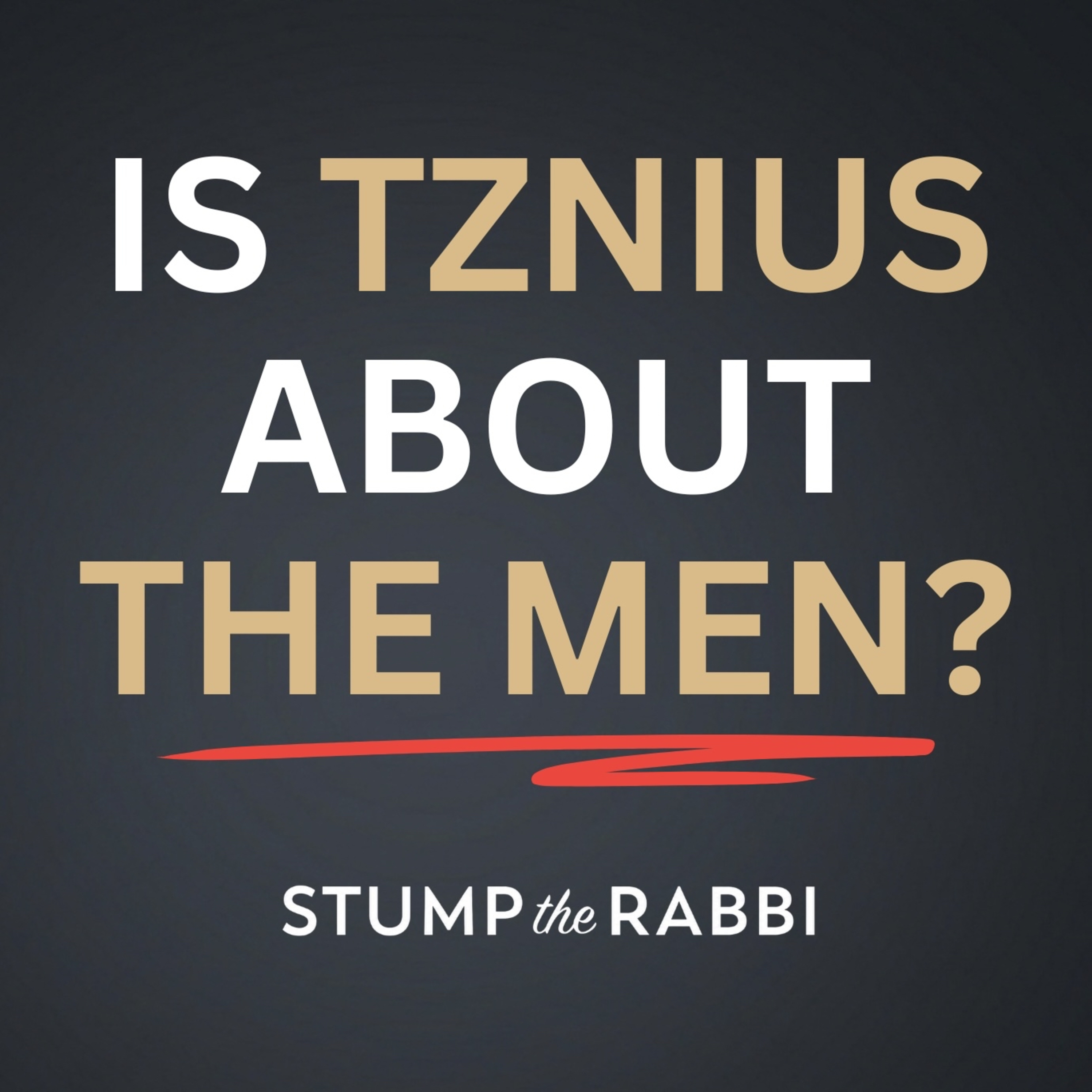 Why Should I Be Tznius, Why Can’t Men Just Look Away? episode artwork