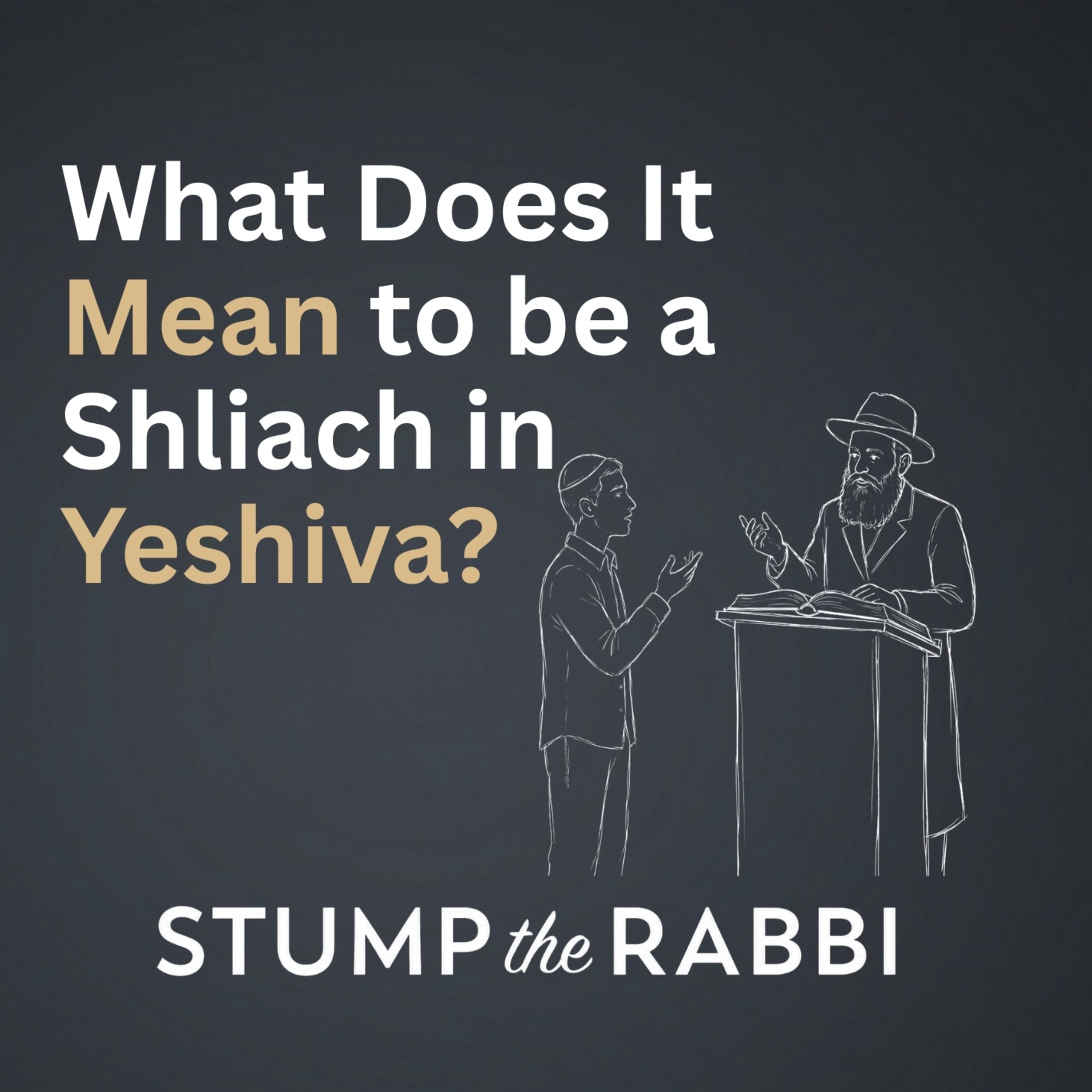 What Does It Mean to Be a Shliach in Yeshiva? episode artwork