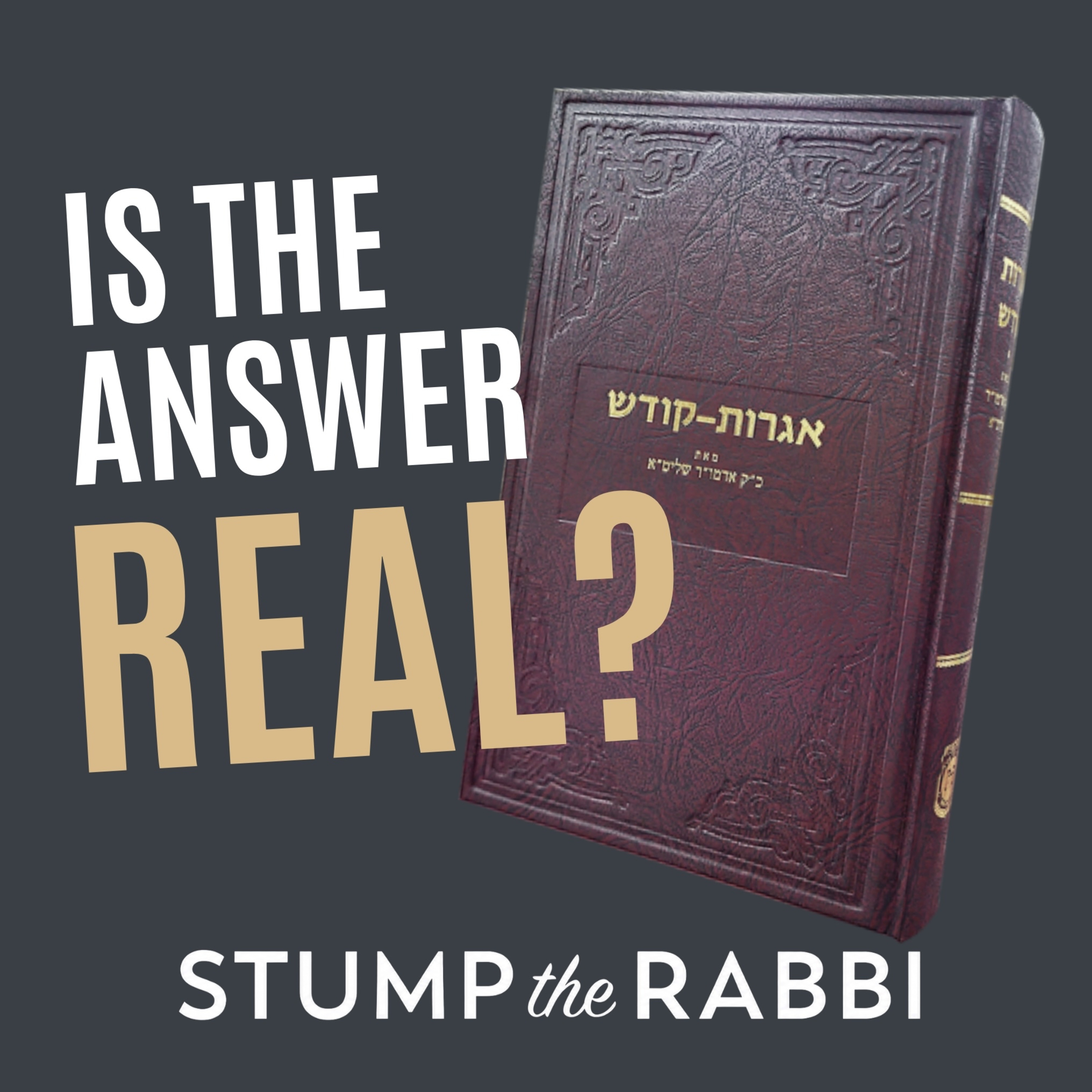 How Do I Know An Answer from Igros Kodesh Is Real and Not Just What I Want It To Mean? episode artwork