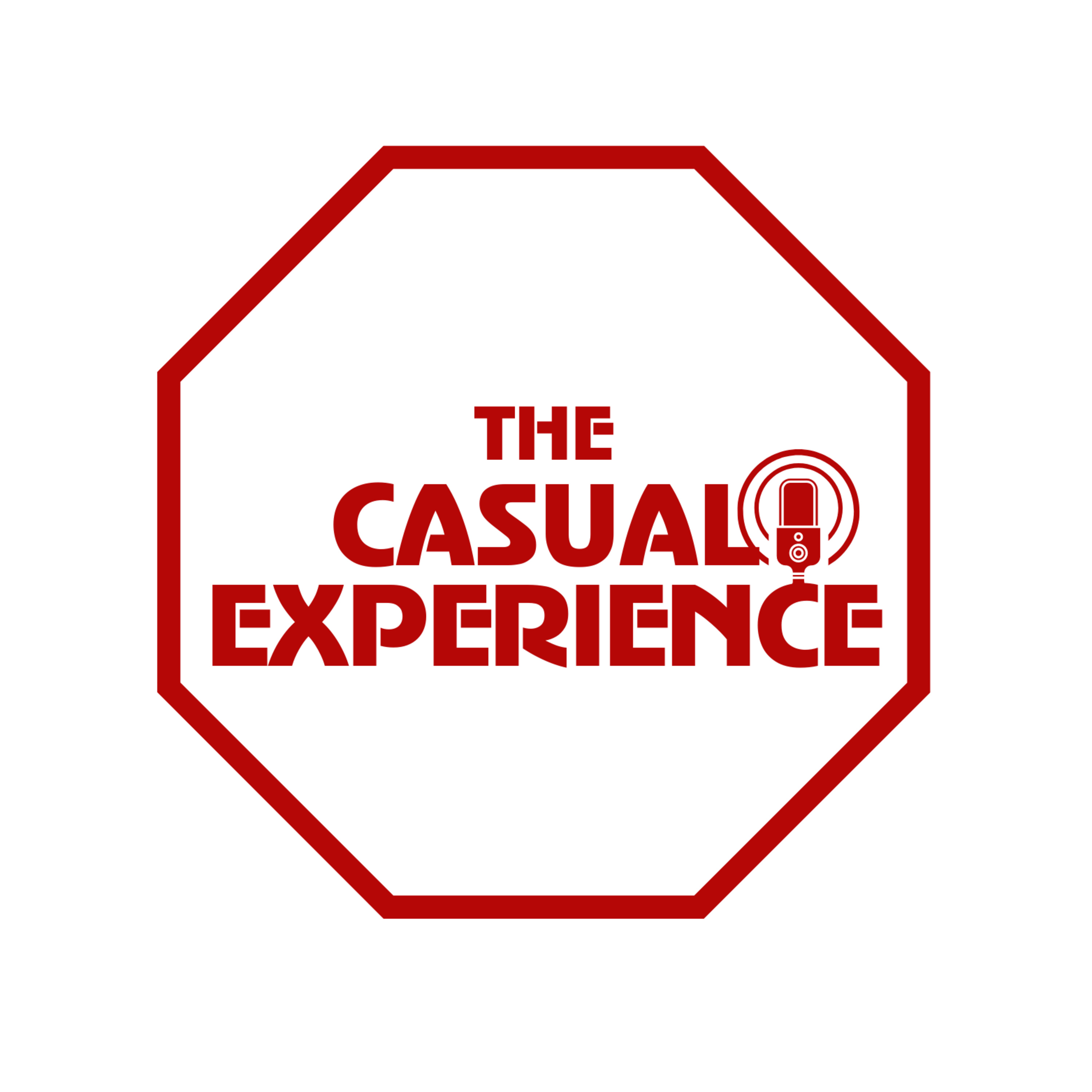 The Casual Experience MMA Show