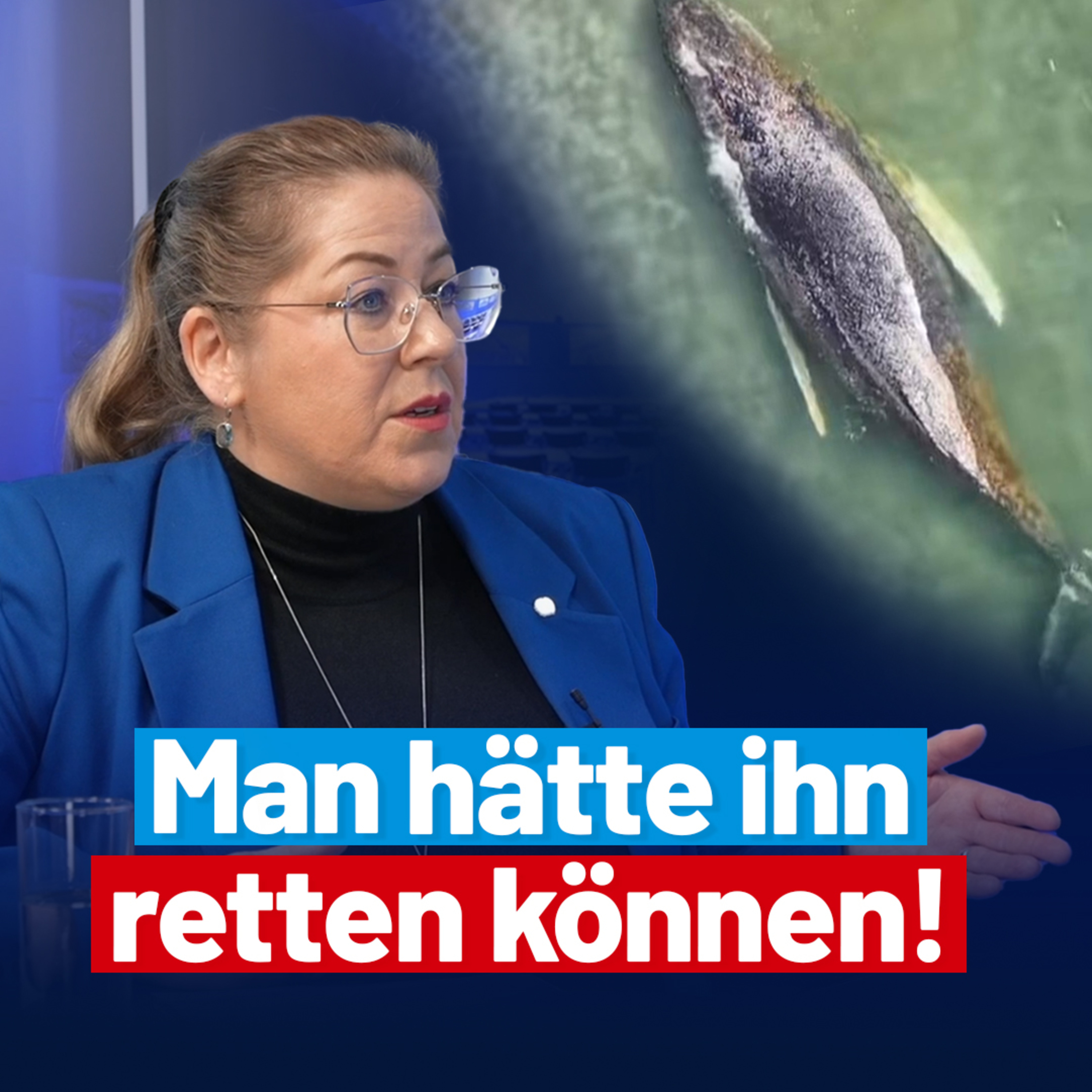 Das Schicksal von Wal Timmy /Hope - Interview mit Nicole Hess episode artwork