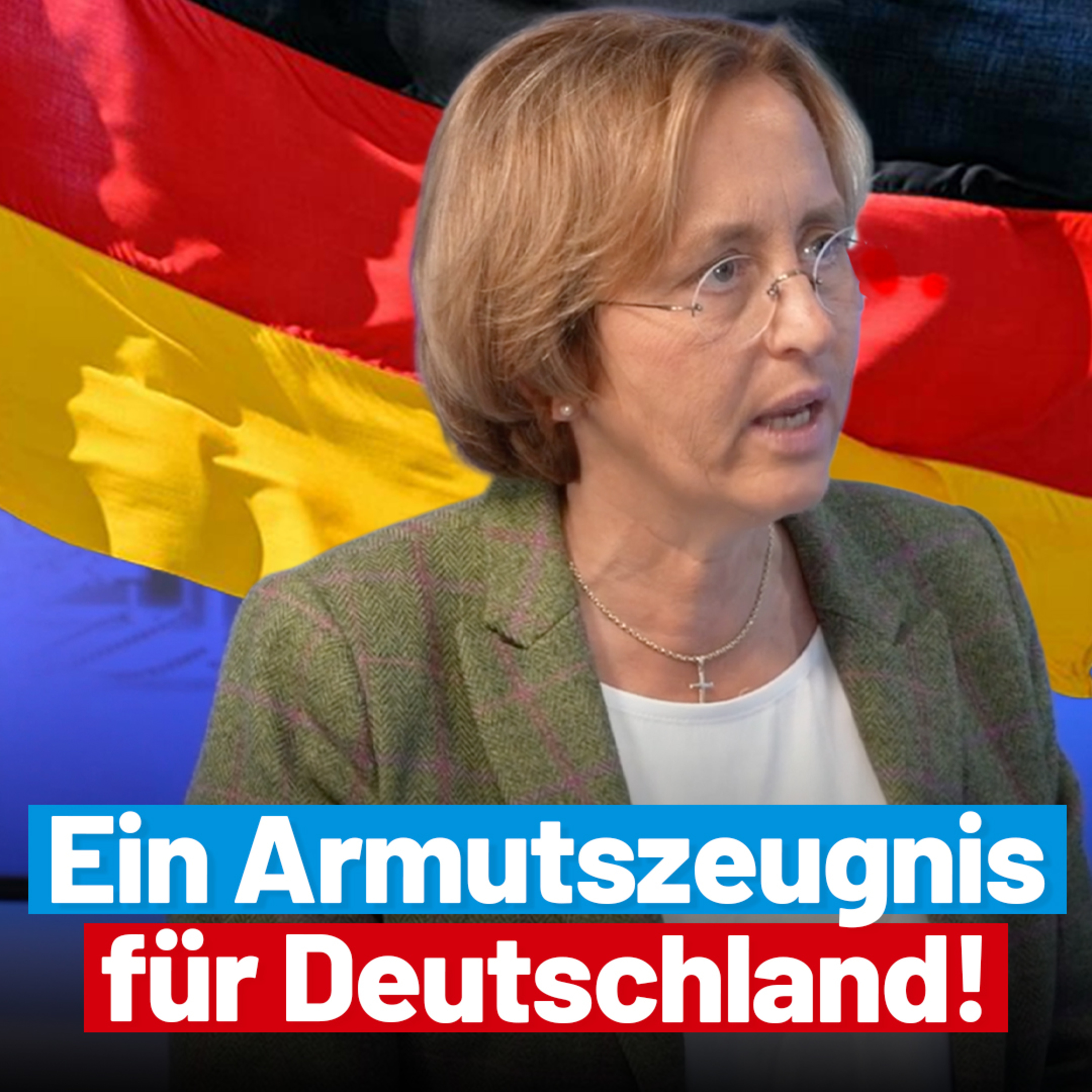 Skandal um die Deutschlandfahne! - Interview mit Beatrix von Storch episode artwork