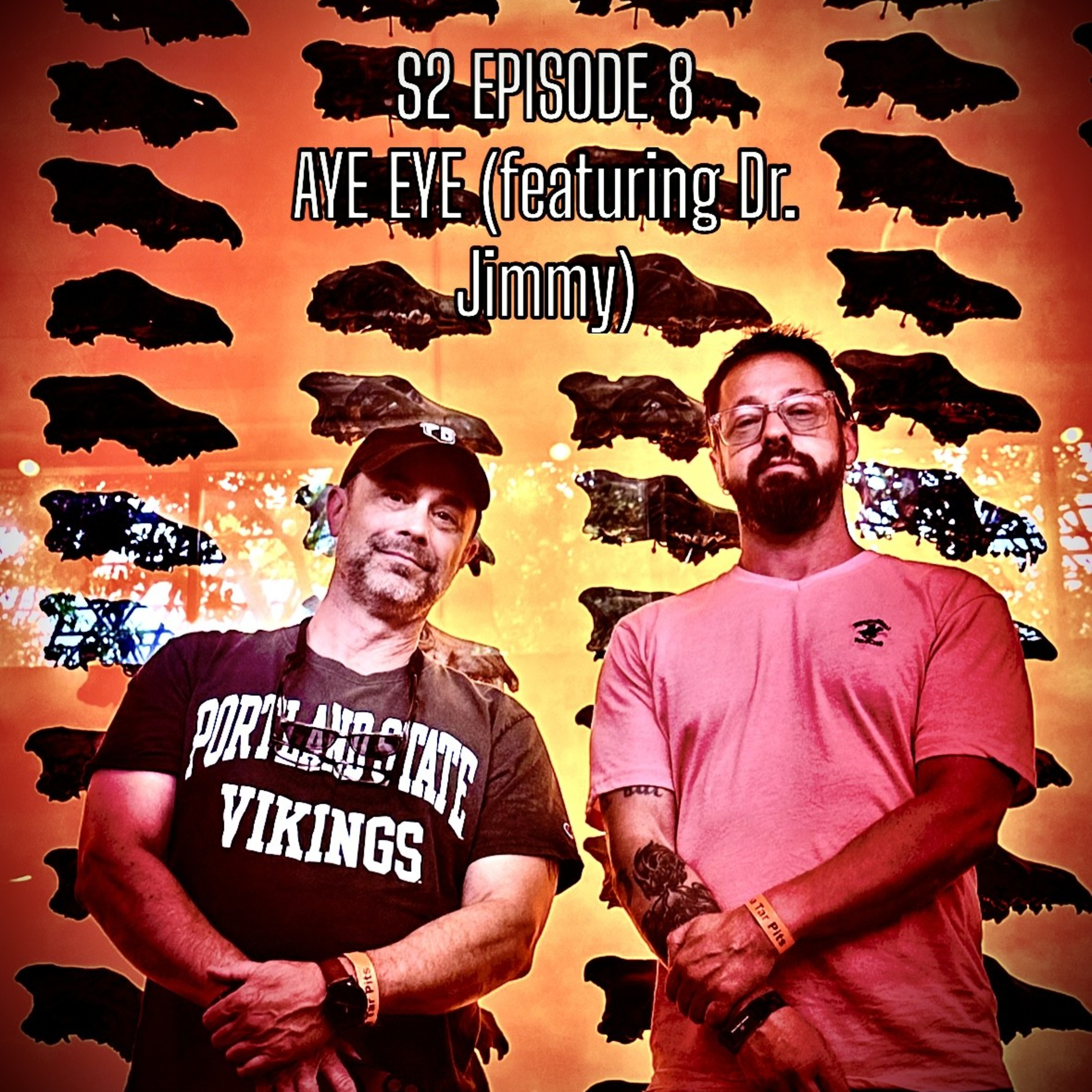 S2 Episode 8: Aye Eye ( Featuring Dr. Jimmy) episode artwork