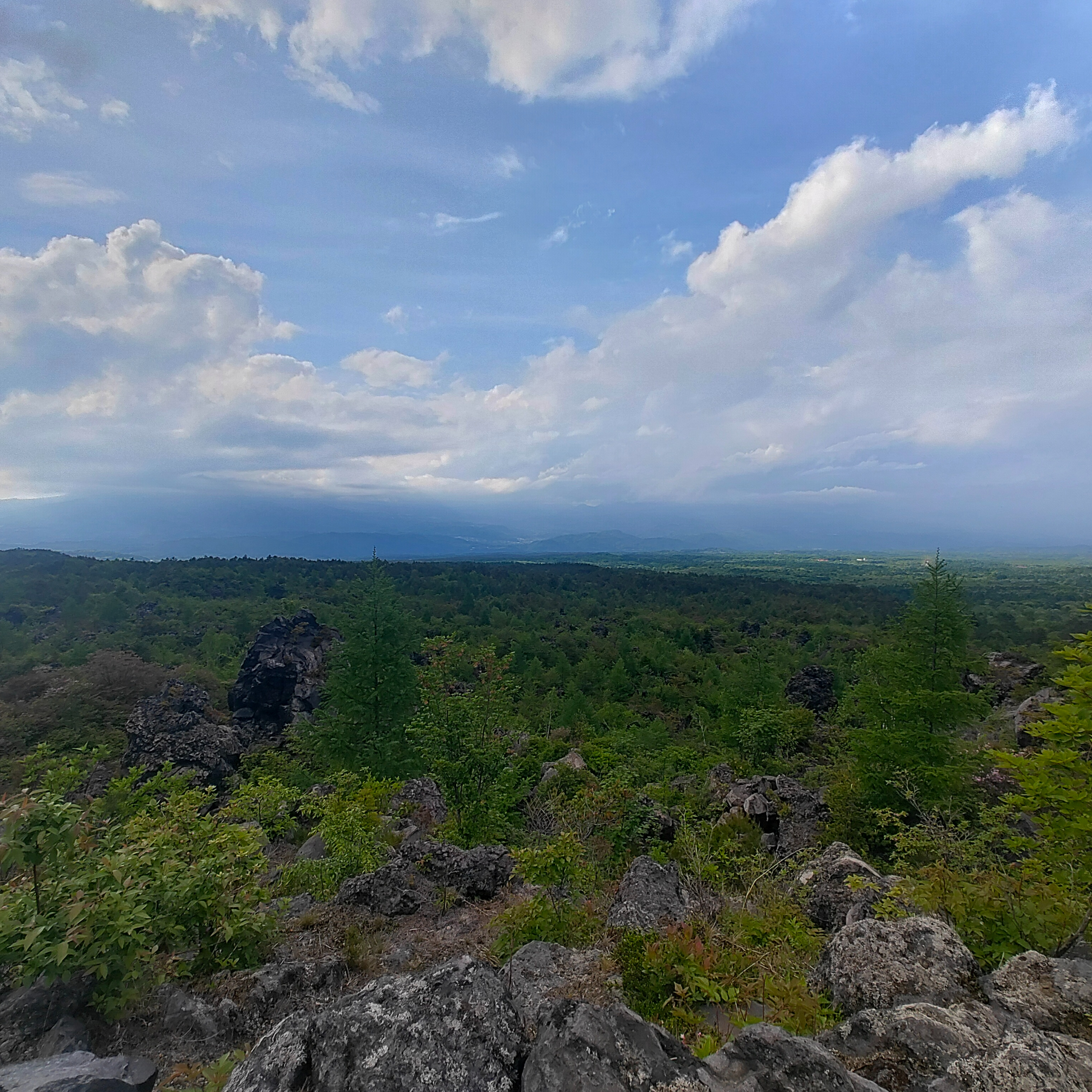 エピソードサムネ