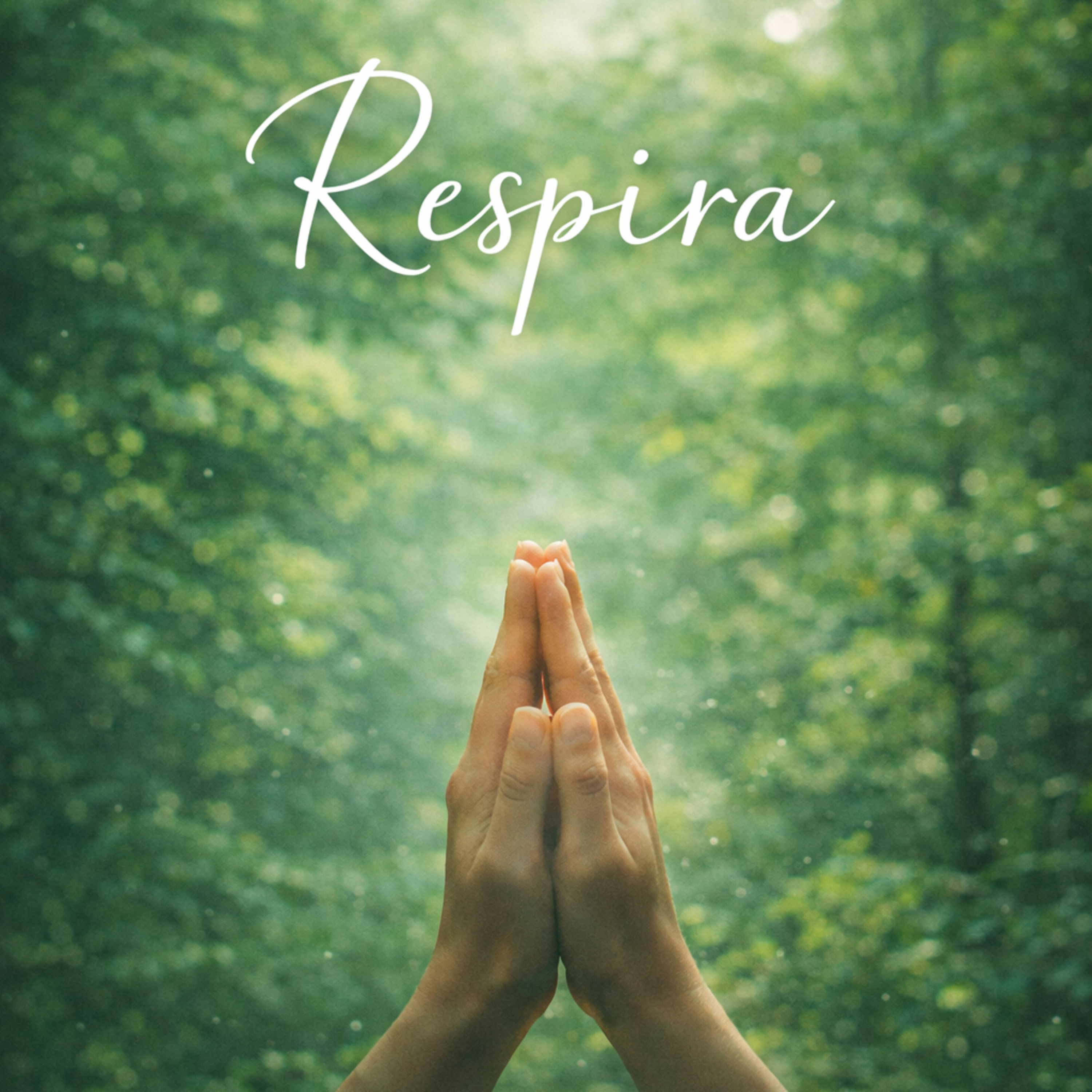 AFIRMACIONES DIARIAS