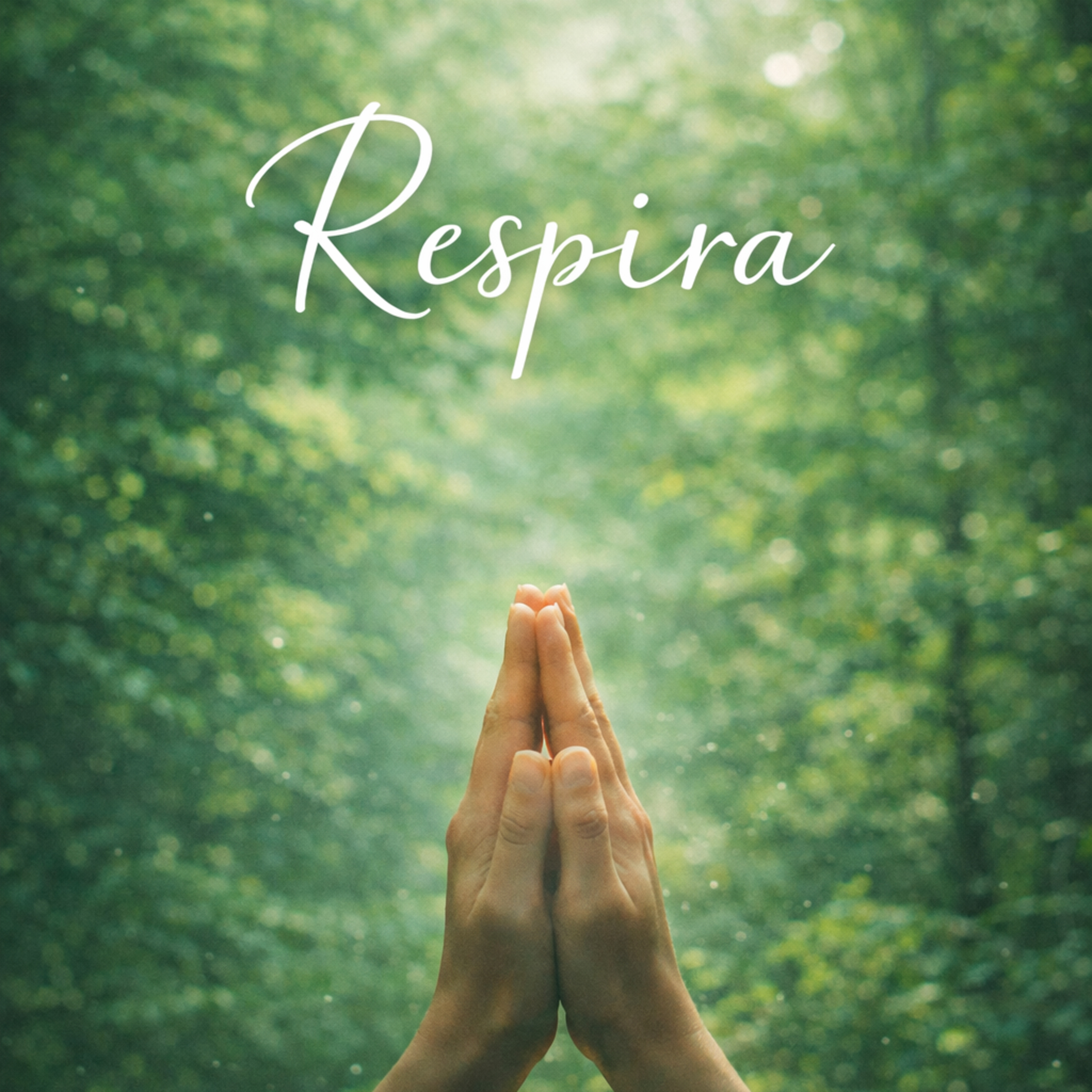 AFIRMACIONES DIARIAS