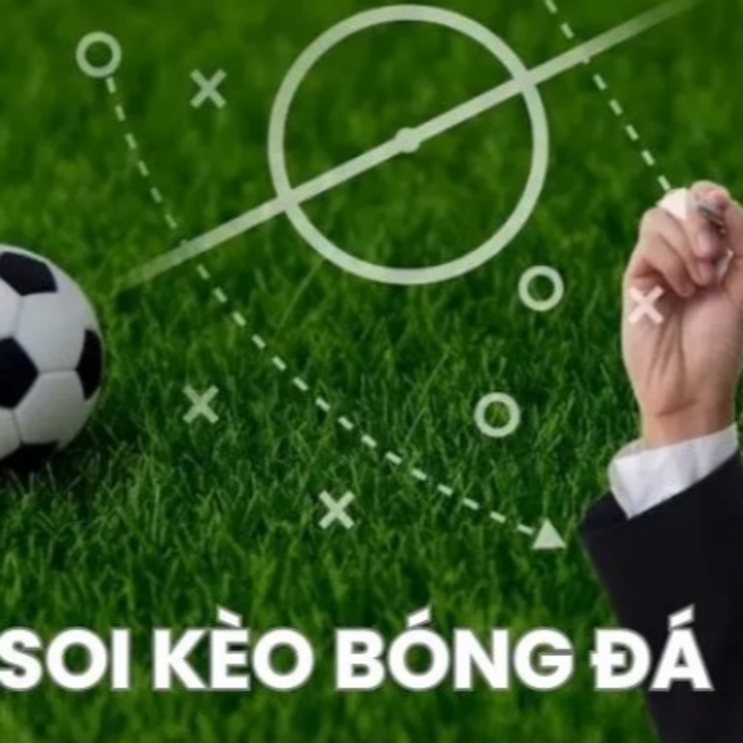 bongdalu.cn.com