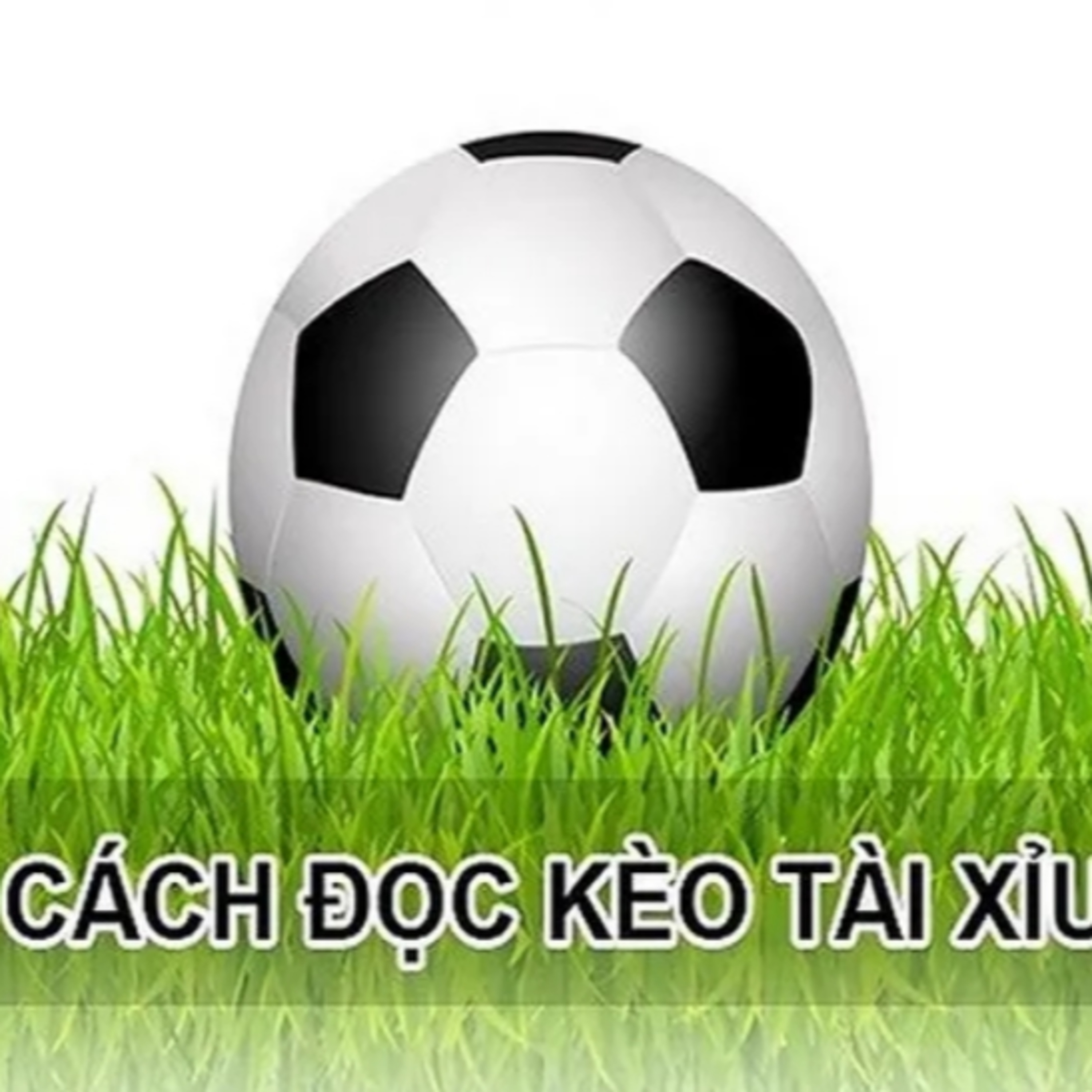 cách chơi kèo tài xỉu bóng đá blog episode artwork
