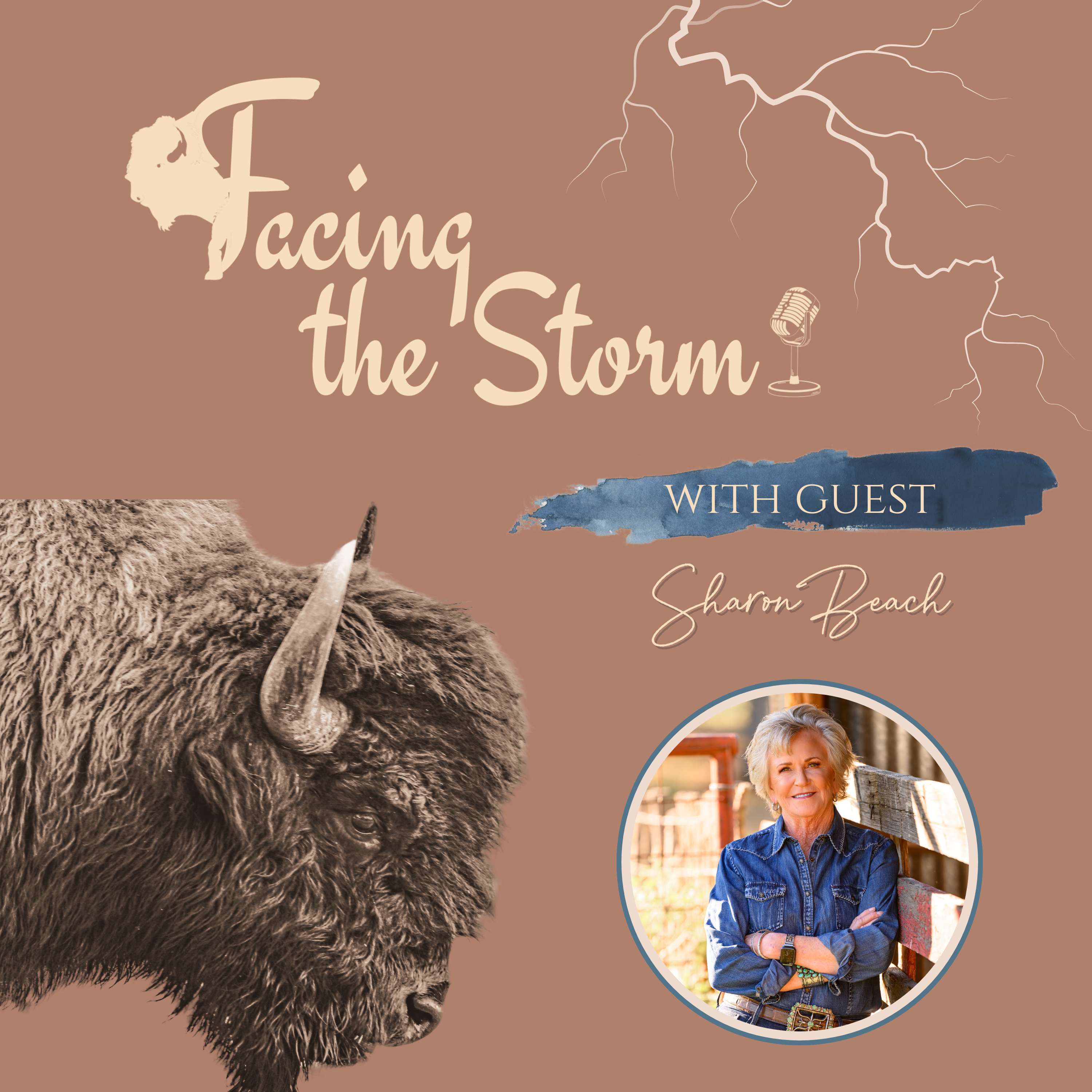 Facing the Storm