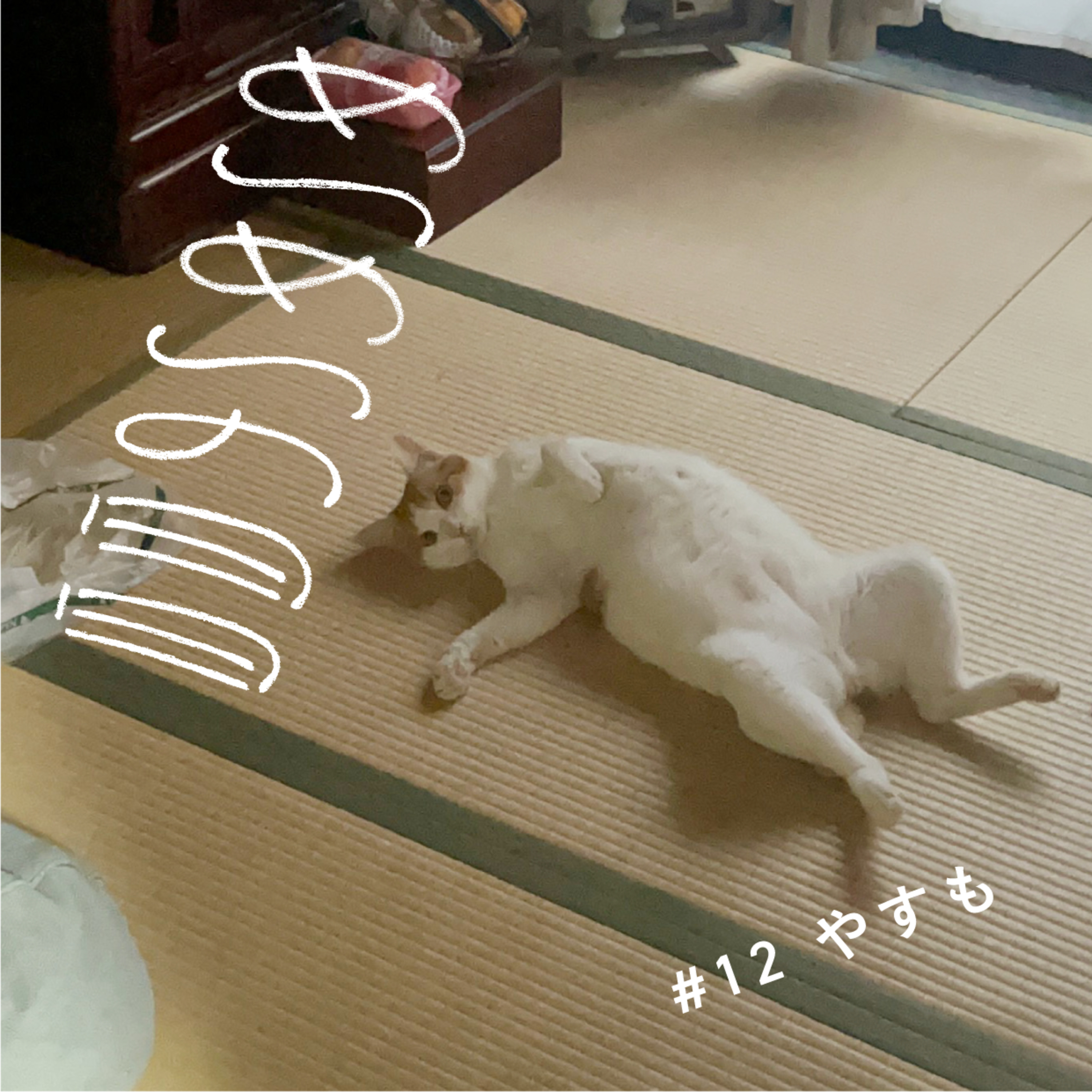 0723_やすも episode artwork