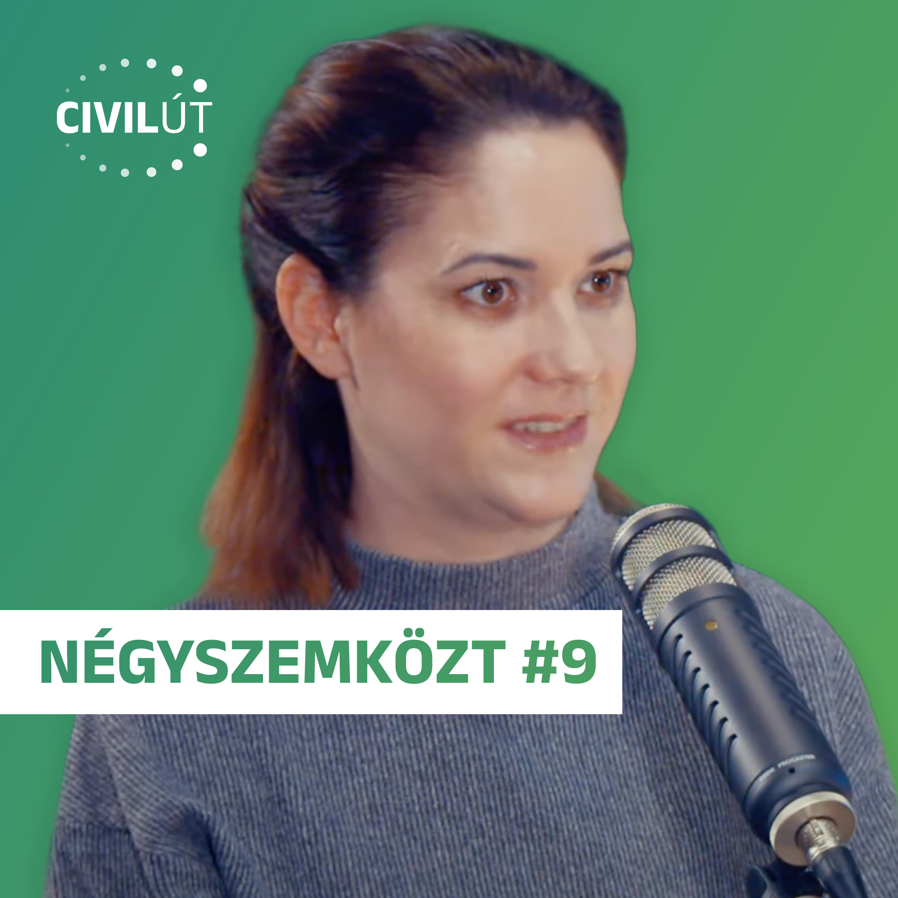 Egy család a szeretettől lesz család – nem a vérszerinti köteléktől episode artwork