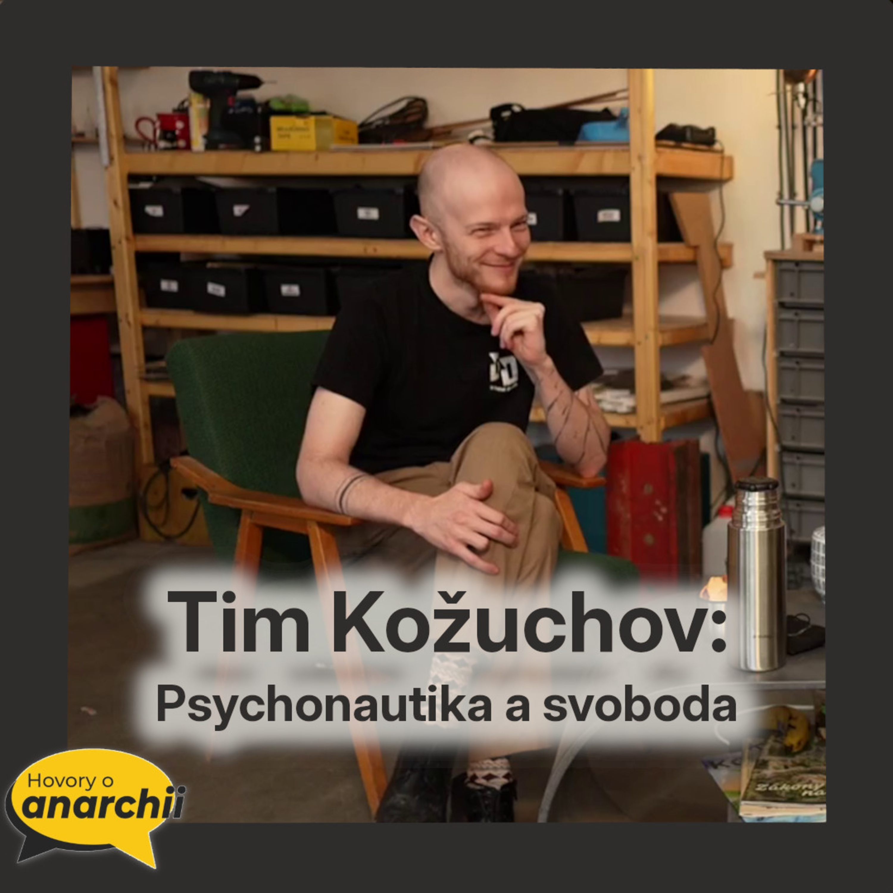 Hovory o anarchii