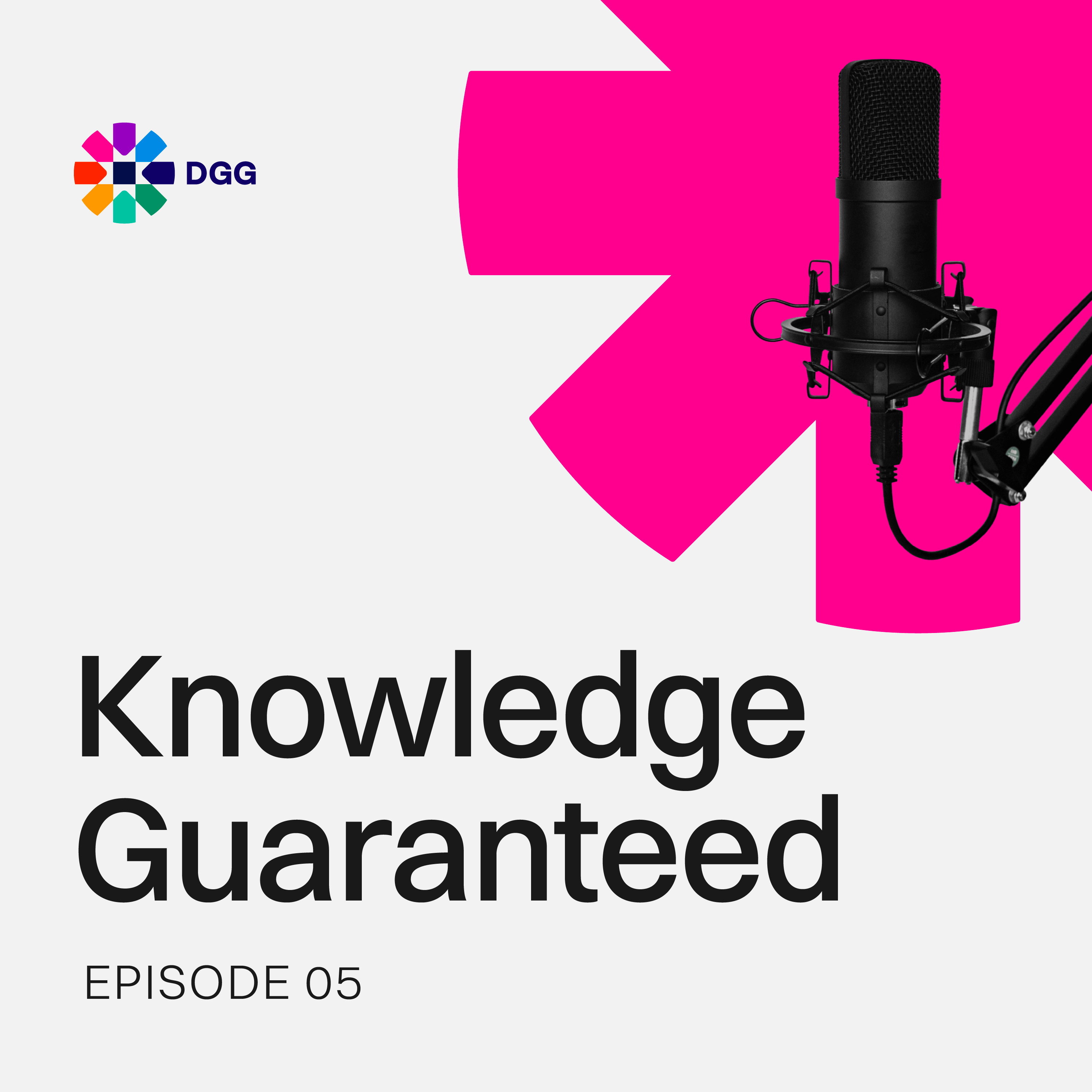 How to manage risk for EMDE investments through guarantees episode artwork