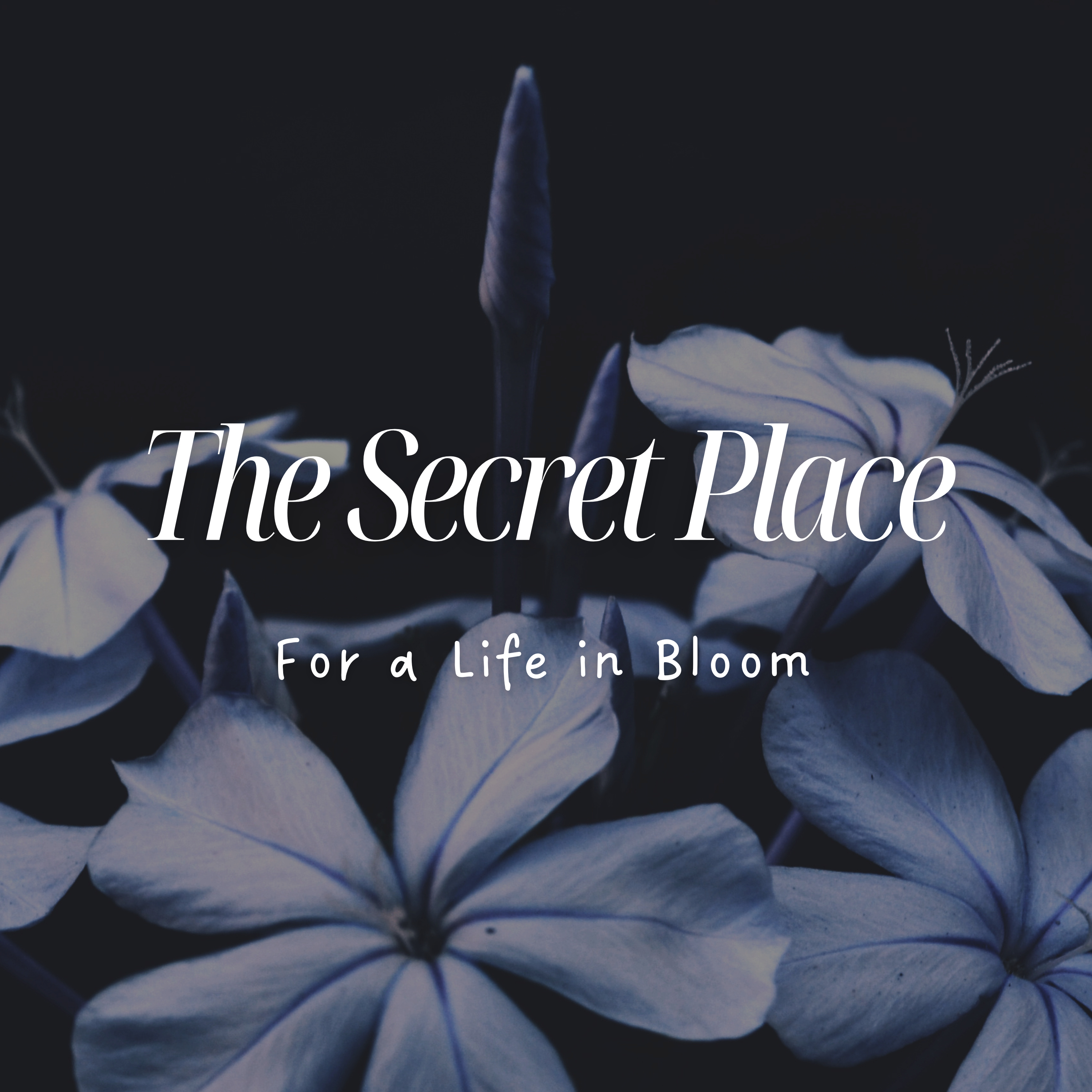 The Secret Place Trailer episode artwork