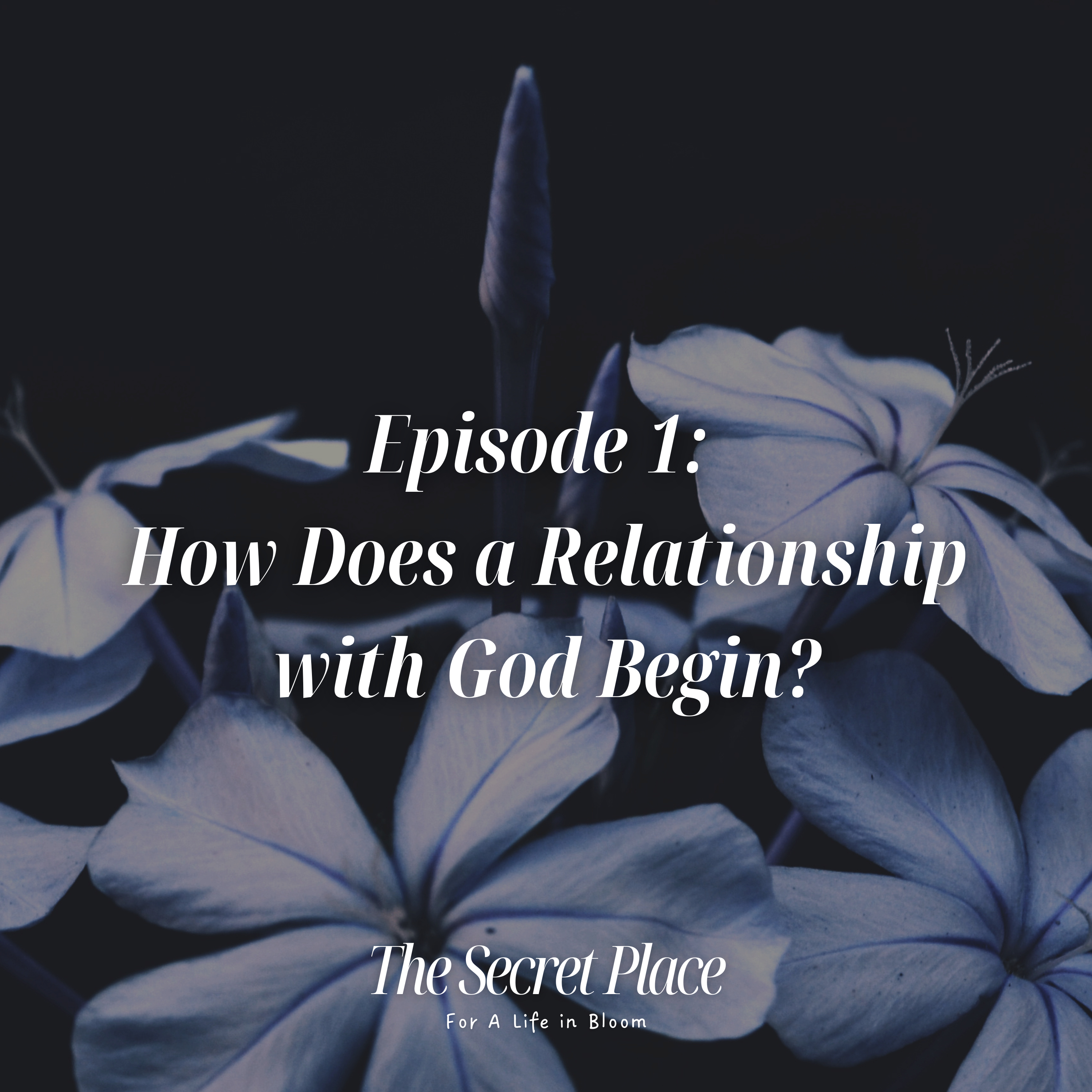 How Does a Relationship with God Begin? | The Secret Place: For a Life in Bloom episode artwork