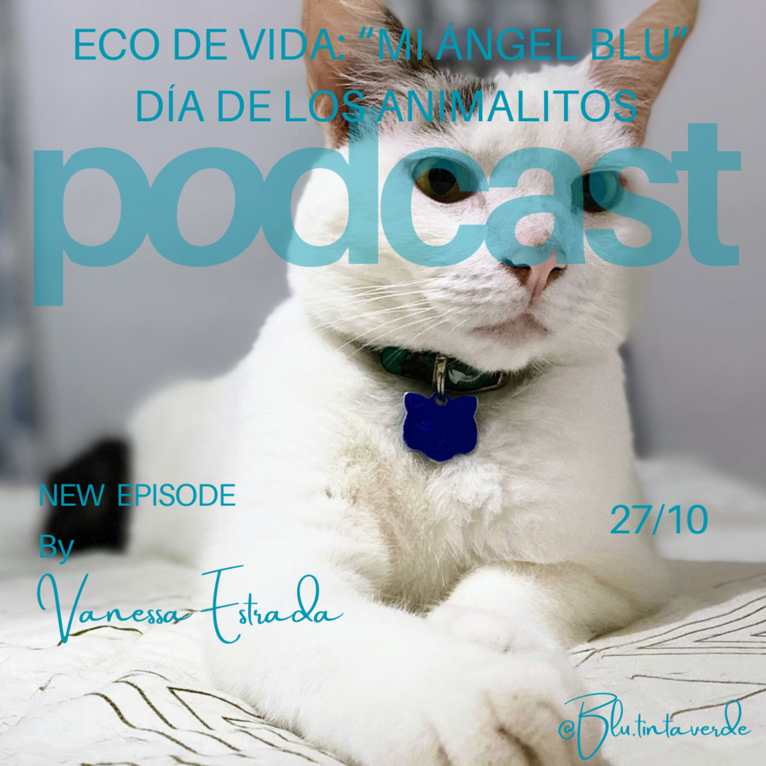 “Mi ángel Blu” — Día de los Animalitos episode artwork