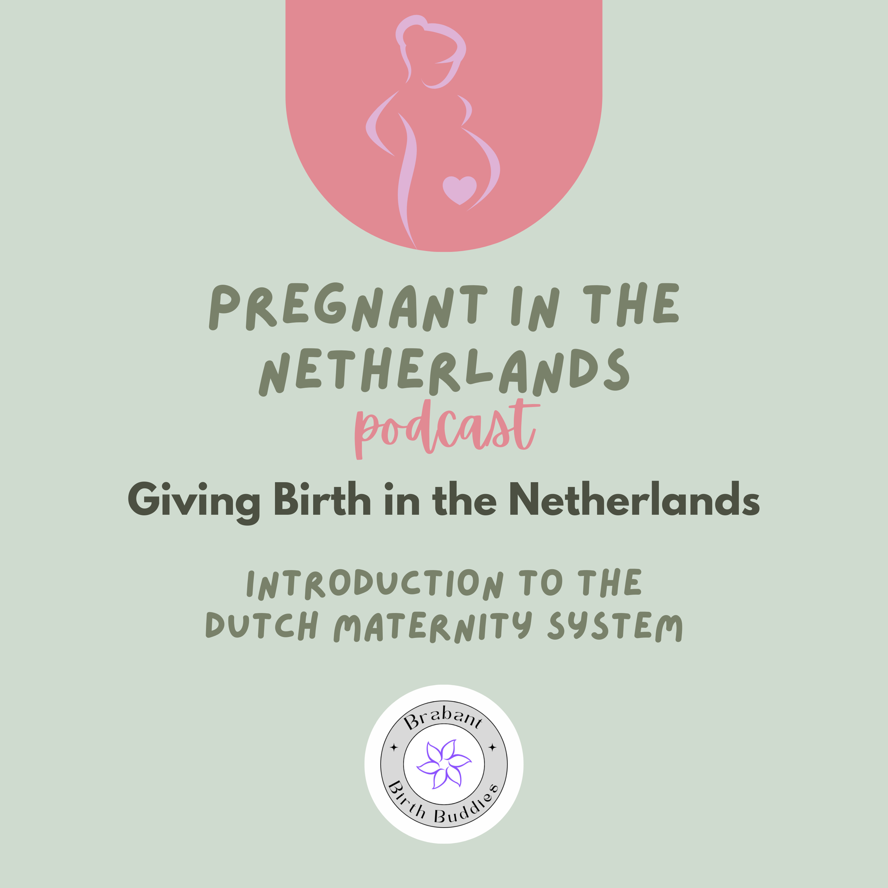 Pregnant In The Netherlands