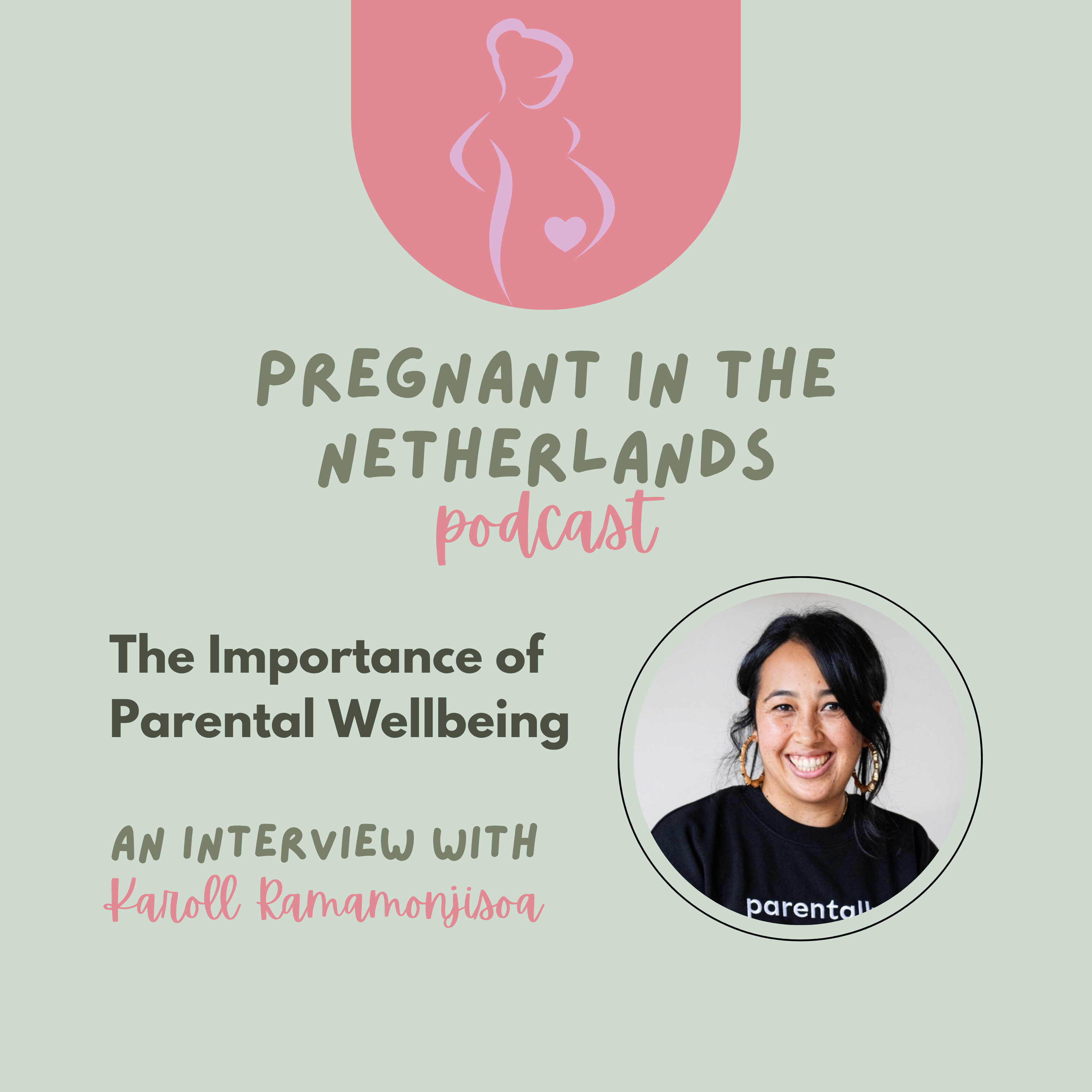 Pregnant In The Netherlands