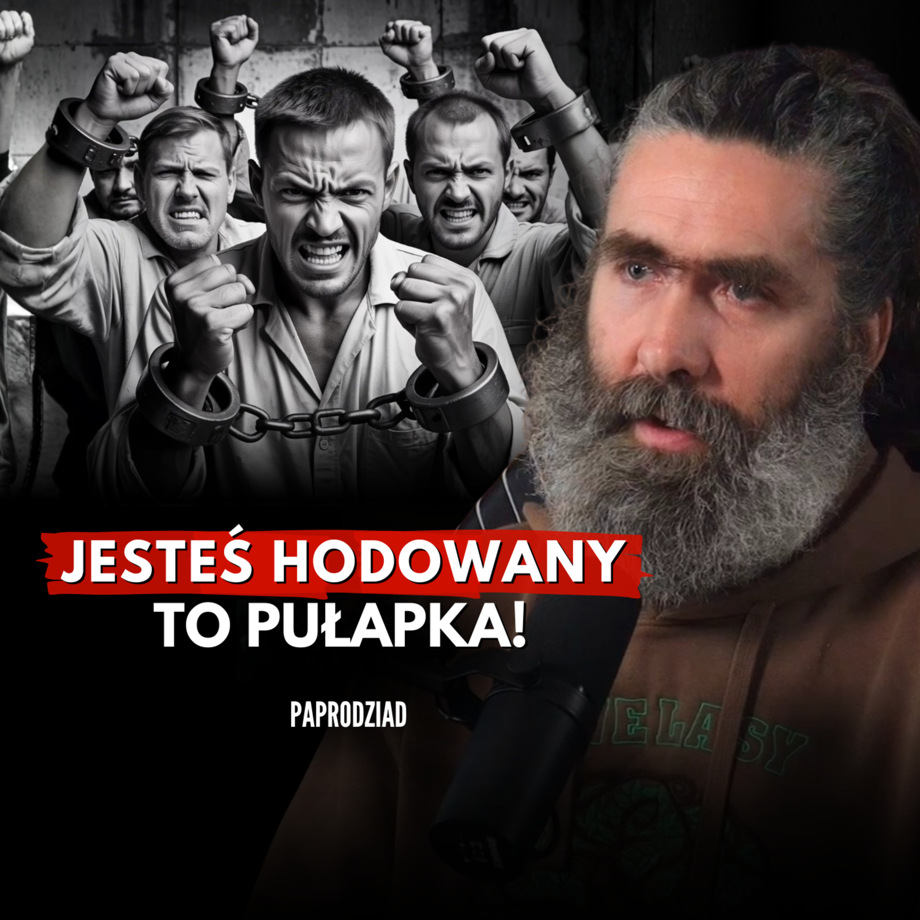 PAPRODZIAD: Jesteśmy tresowani do posłuszeństwa. Jak odzyskać męską wolność?