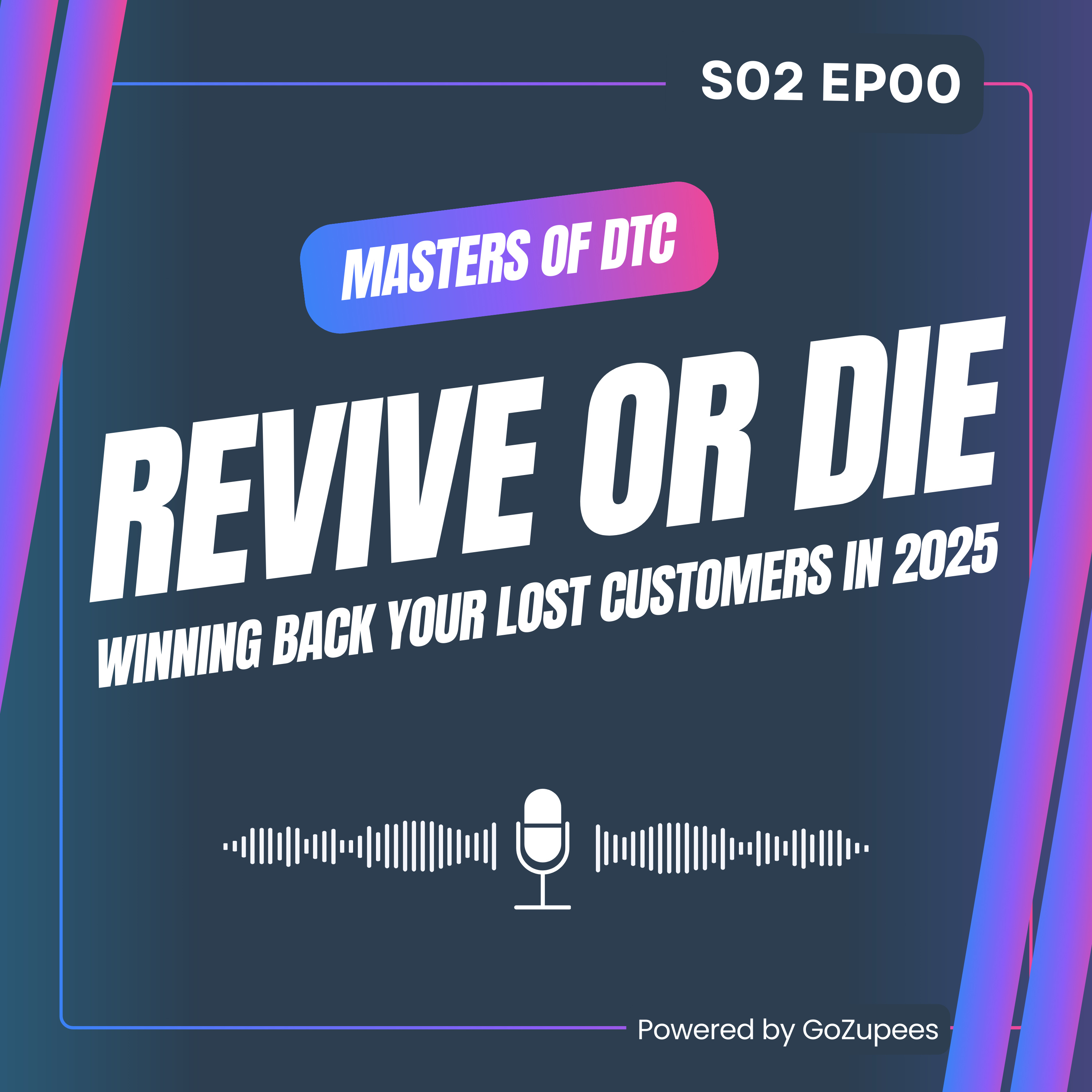 S2 EP00 : Revive or Die - Winning Back Your Lost Customers in 2025 episode artwork